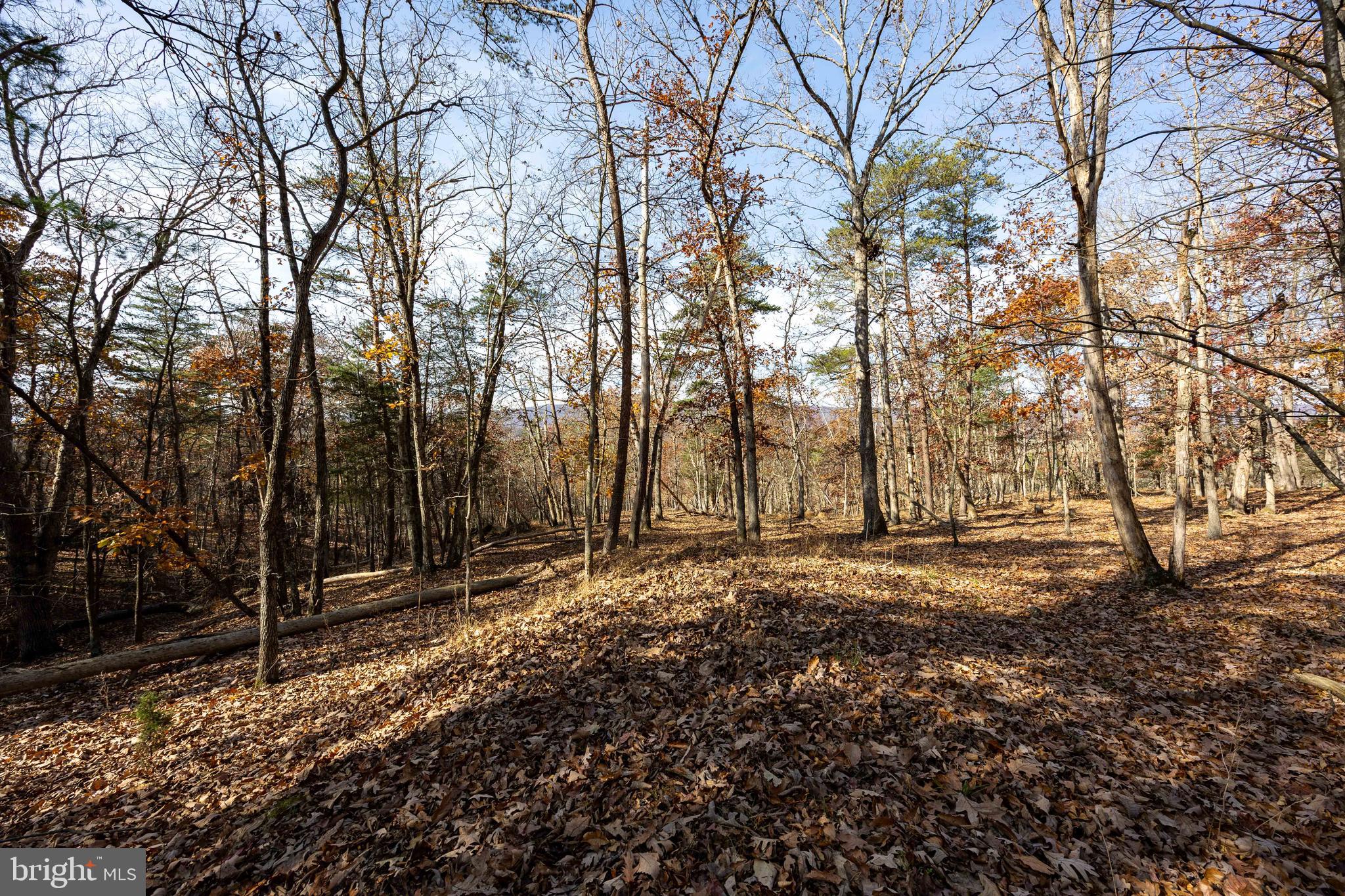 BROOMGRASS - Residential