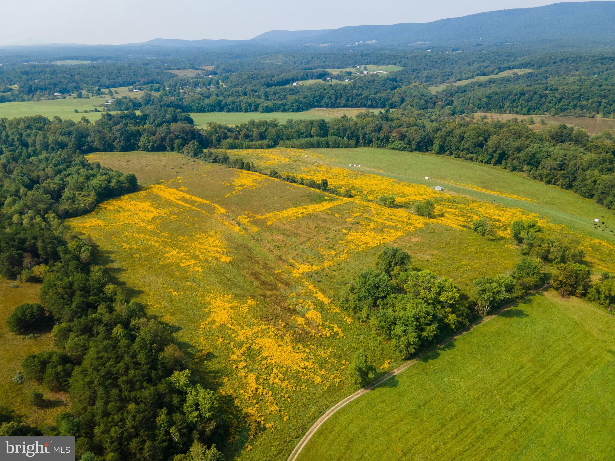 BROOMGRASS - Residential