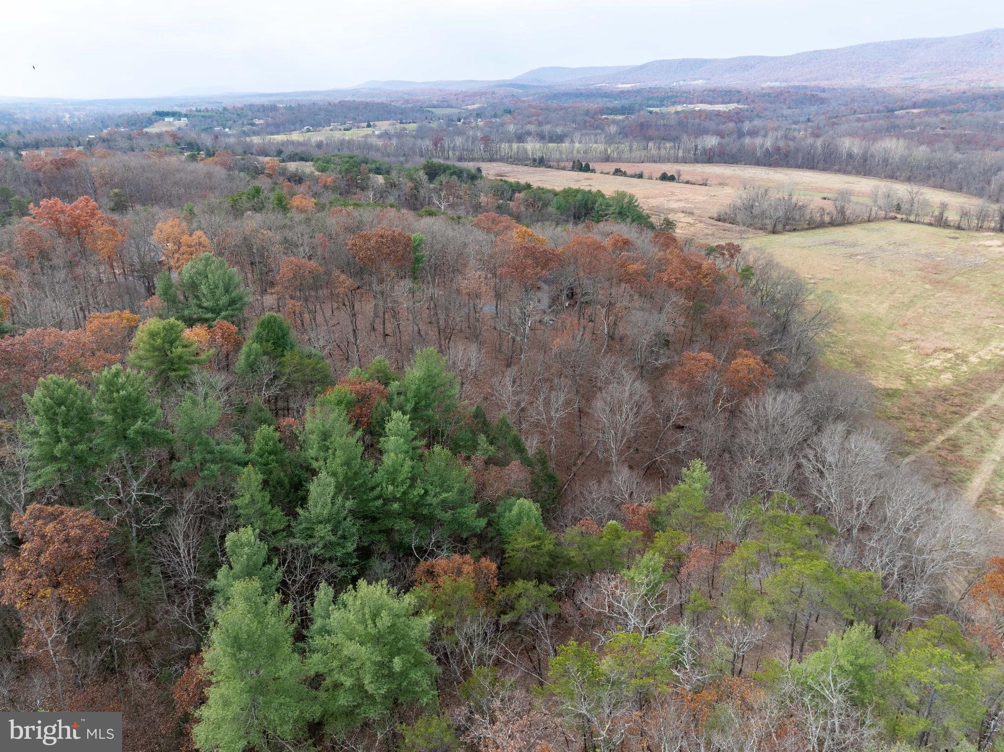 BROOMGRASS - Residential