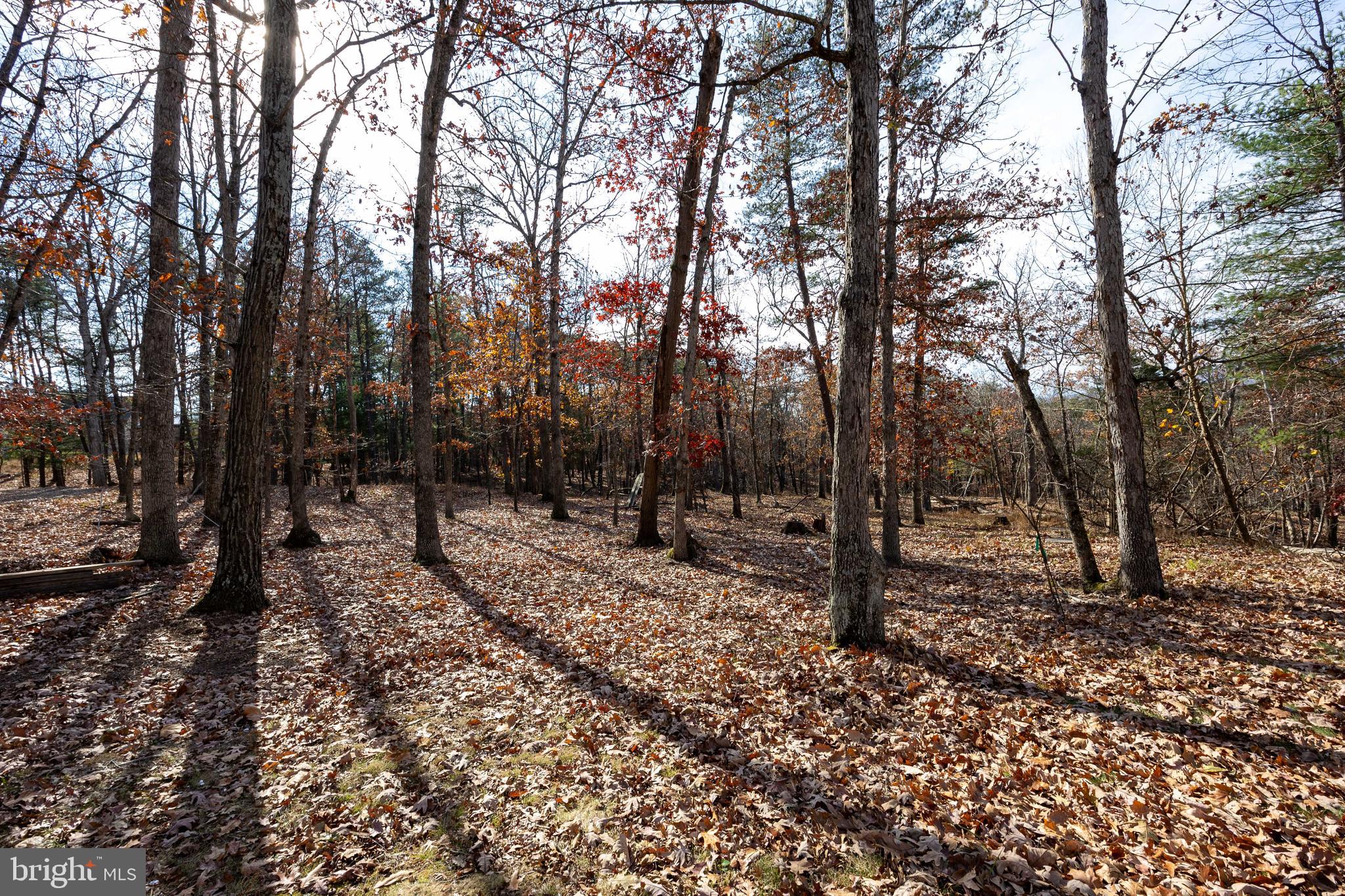 BROOMGRASS - Residential