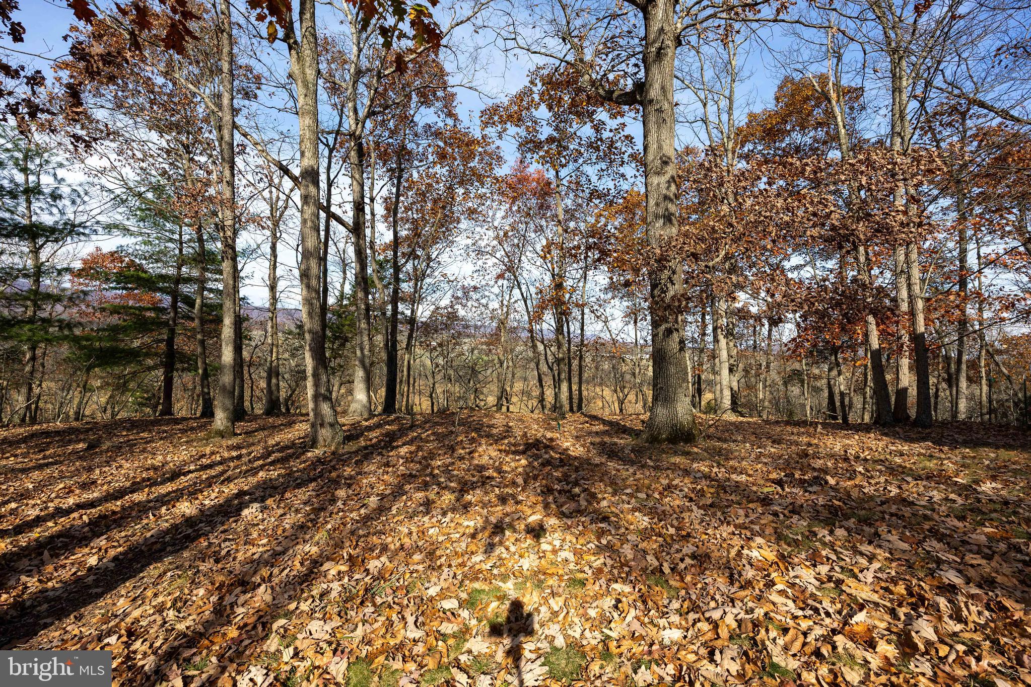 BROOMGRASS - Residential