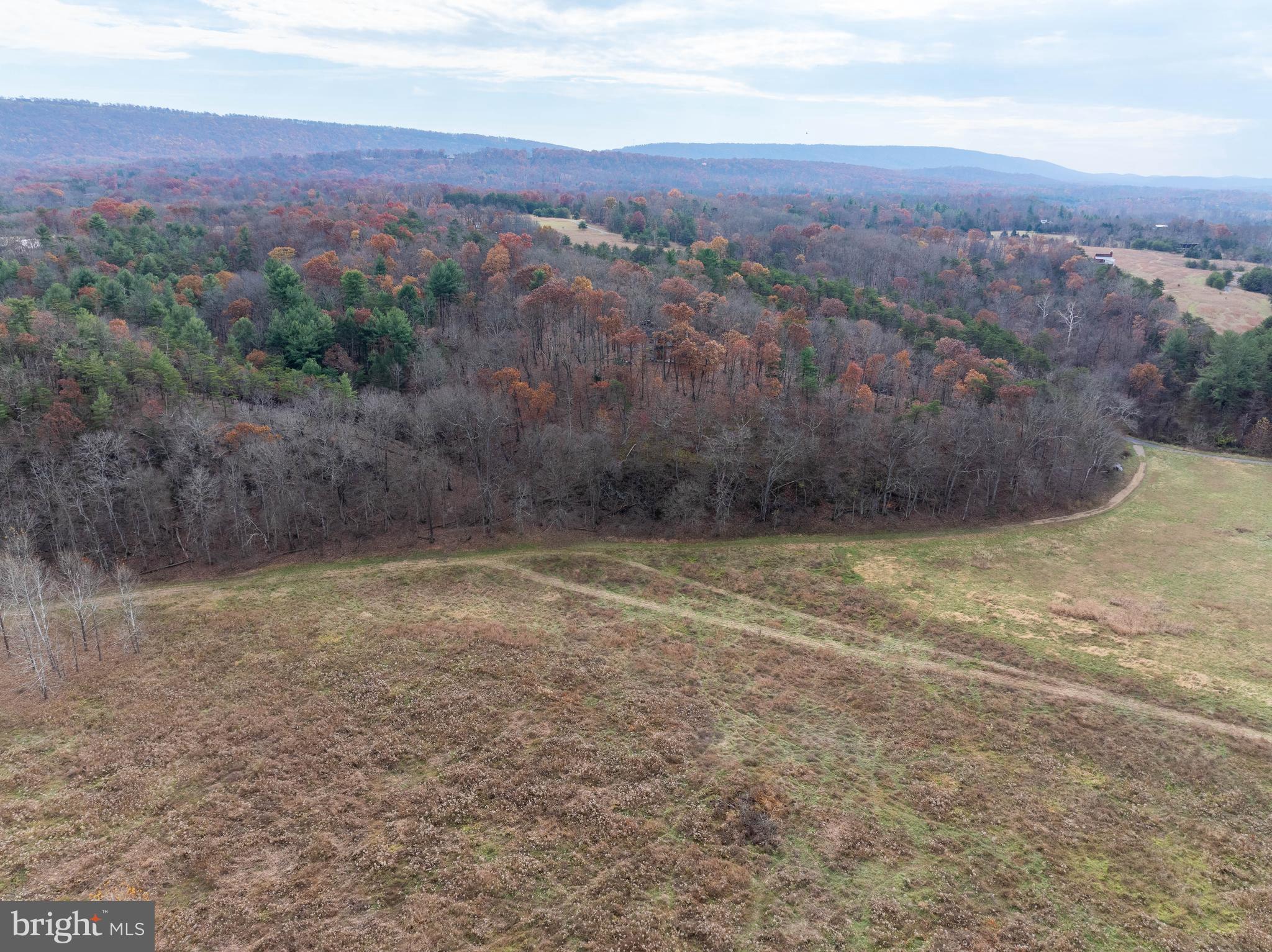 BROOMGRASS - Residential