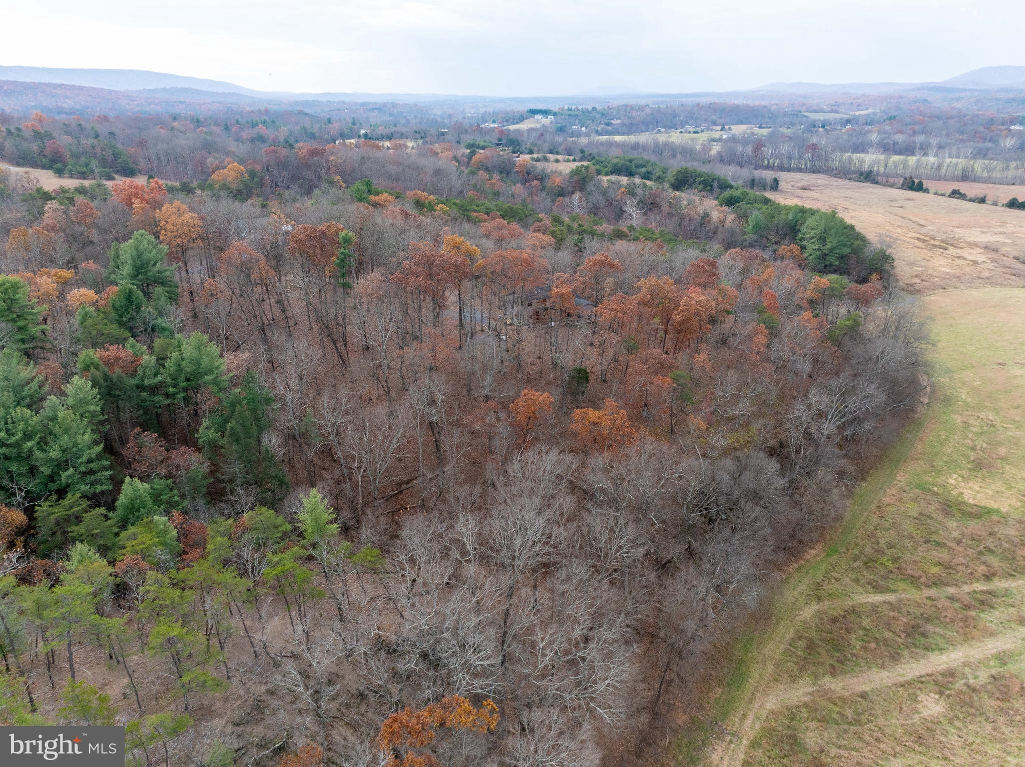 BROOMGRASS - Residential