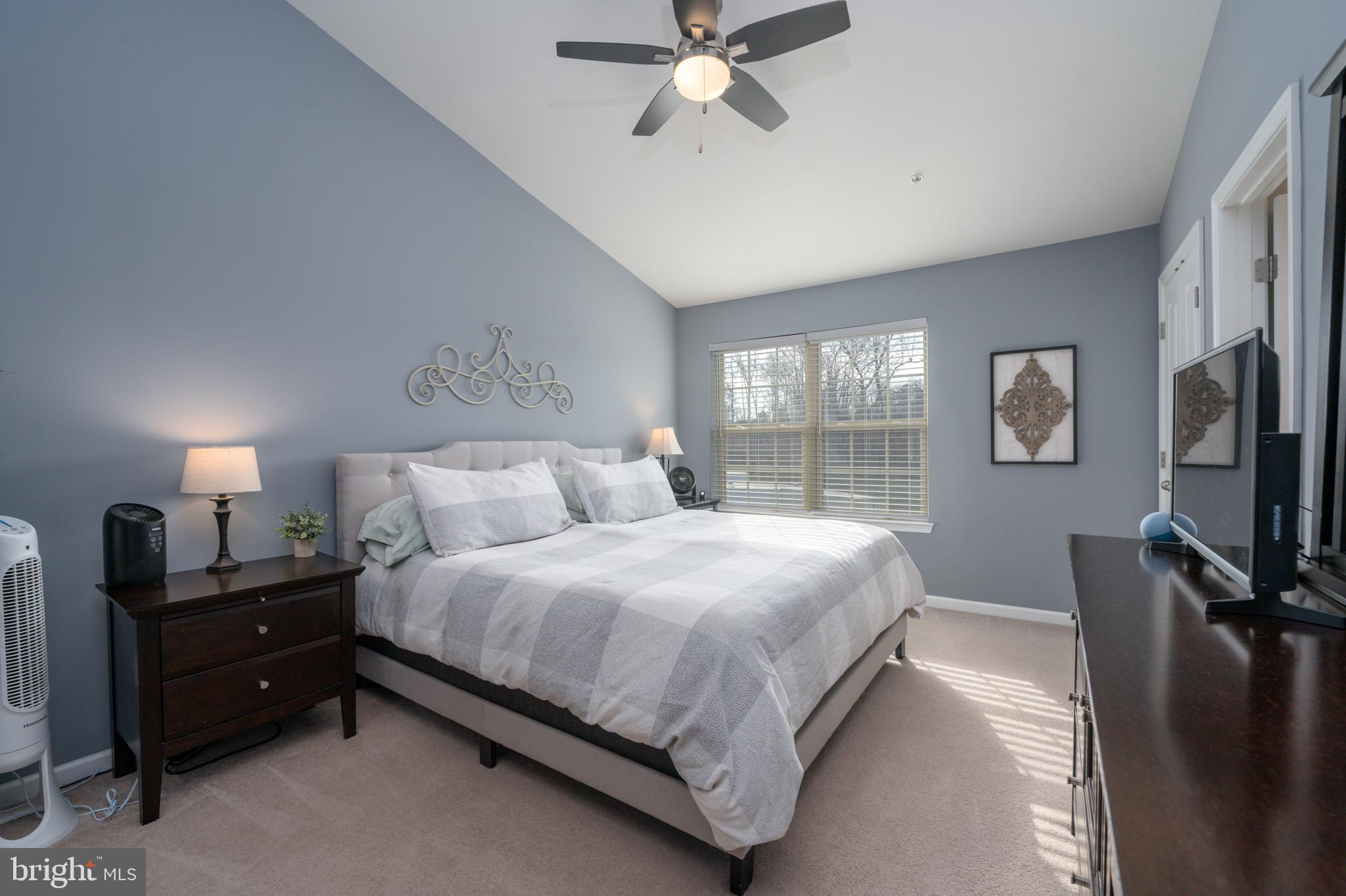 NORTH SHORE FOREST - Residential