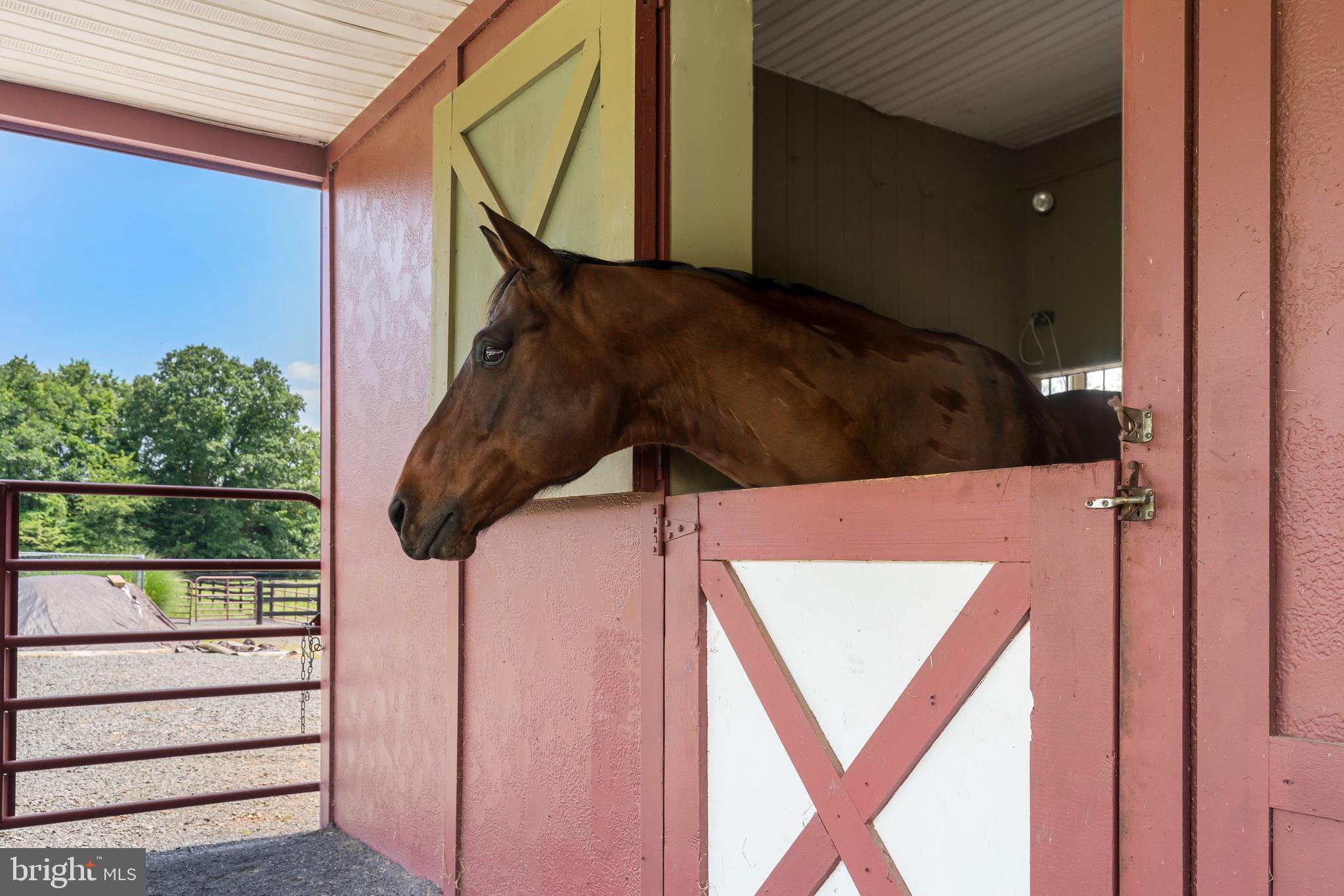 MOUNTAIN FARM - Residential