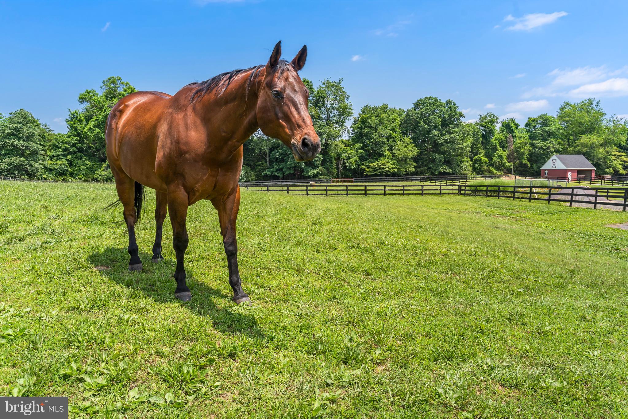 MOUNTAIN FARM - Residential