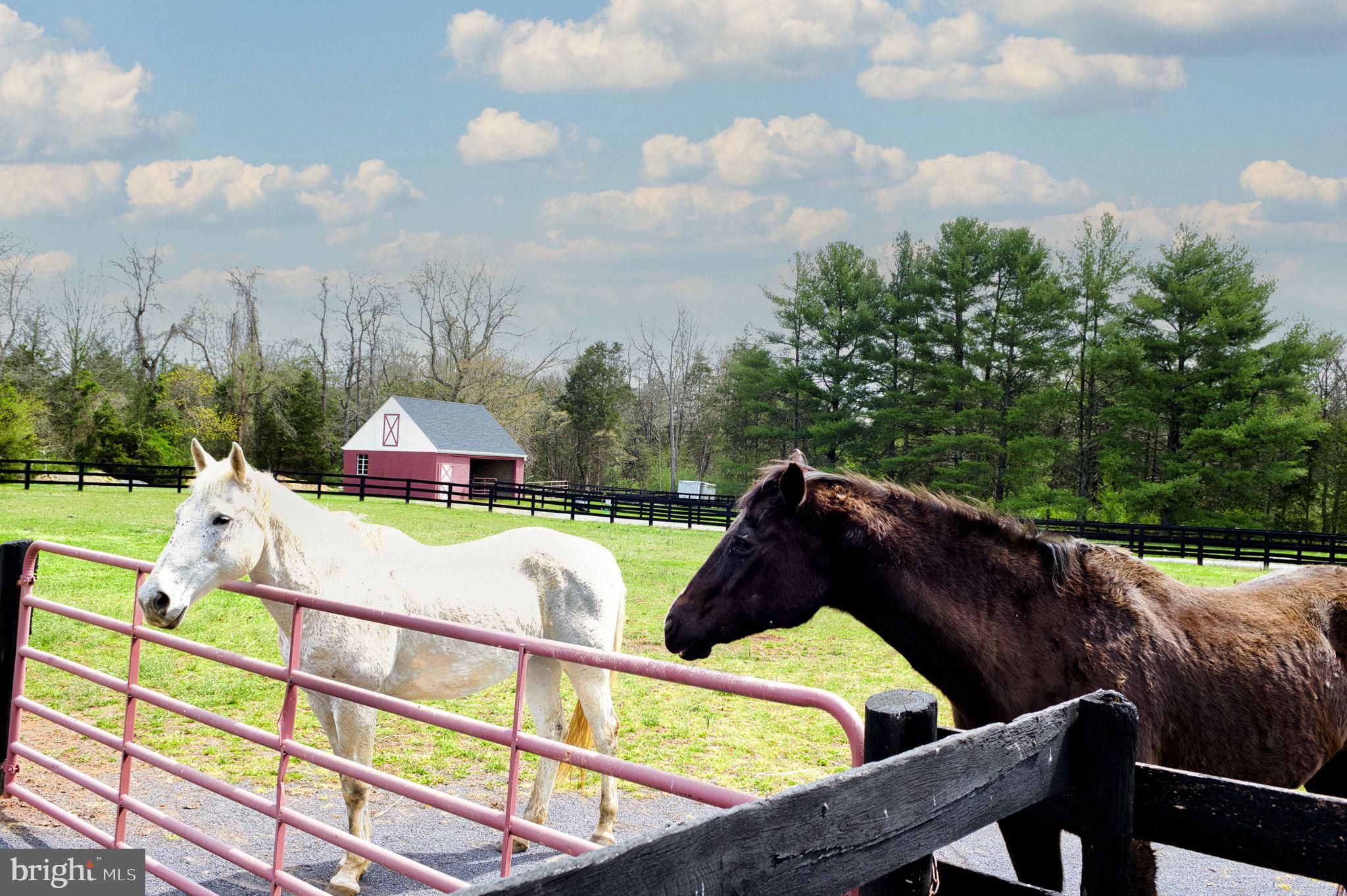 MOUNTAIN FARM - Residential