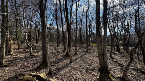 0 STONY MOUNTAIN ALBRIGHTSVILLE PA 18210