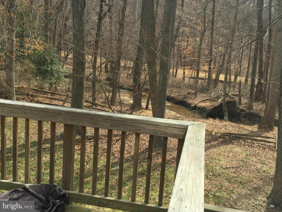 ASHFORD - Residential Lease