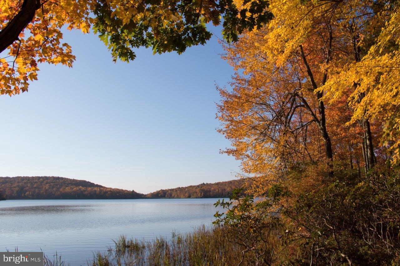 LAUREL WOODS - Residential