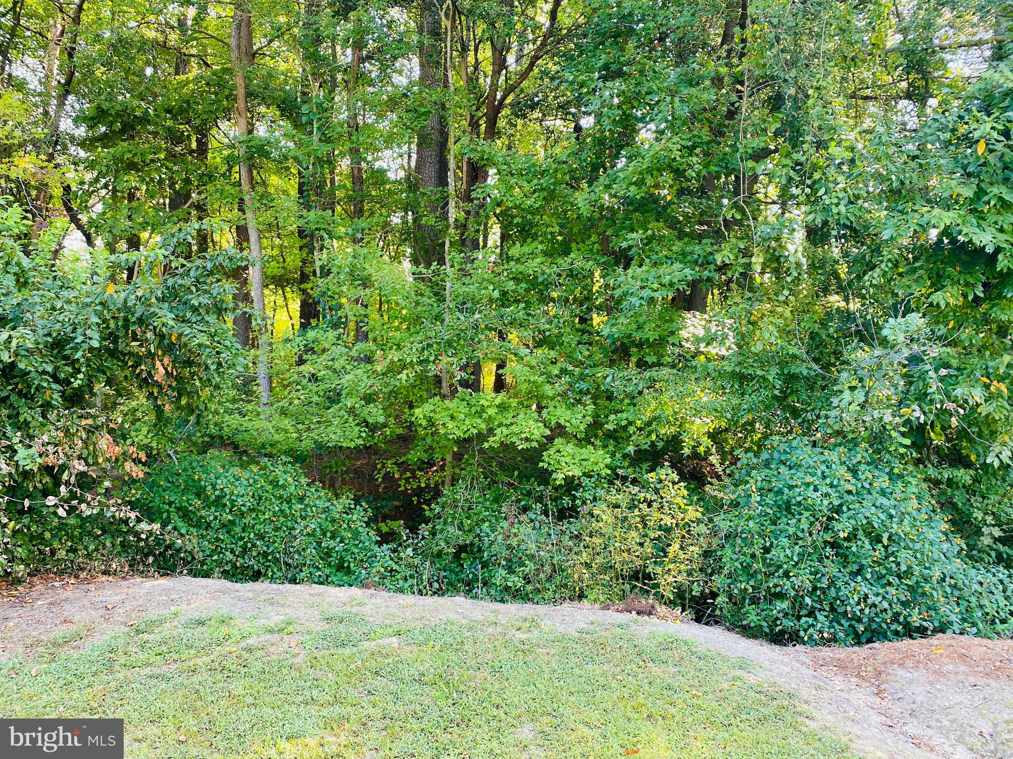 SOUTHGATE VILLAGE - Residential