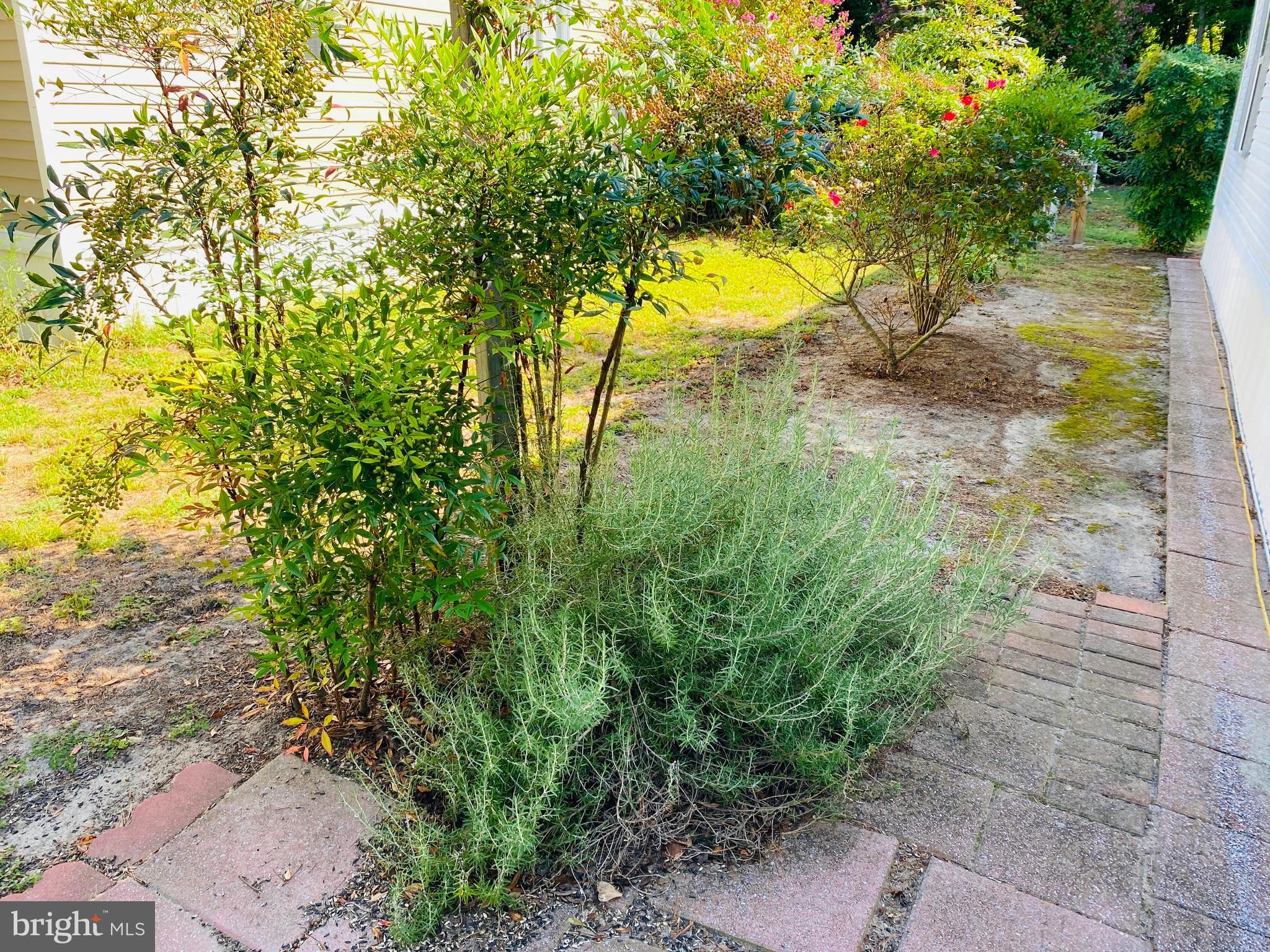 SOUTHGATE VILLAGE - Residential