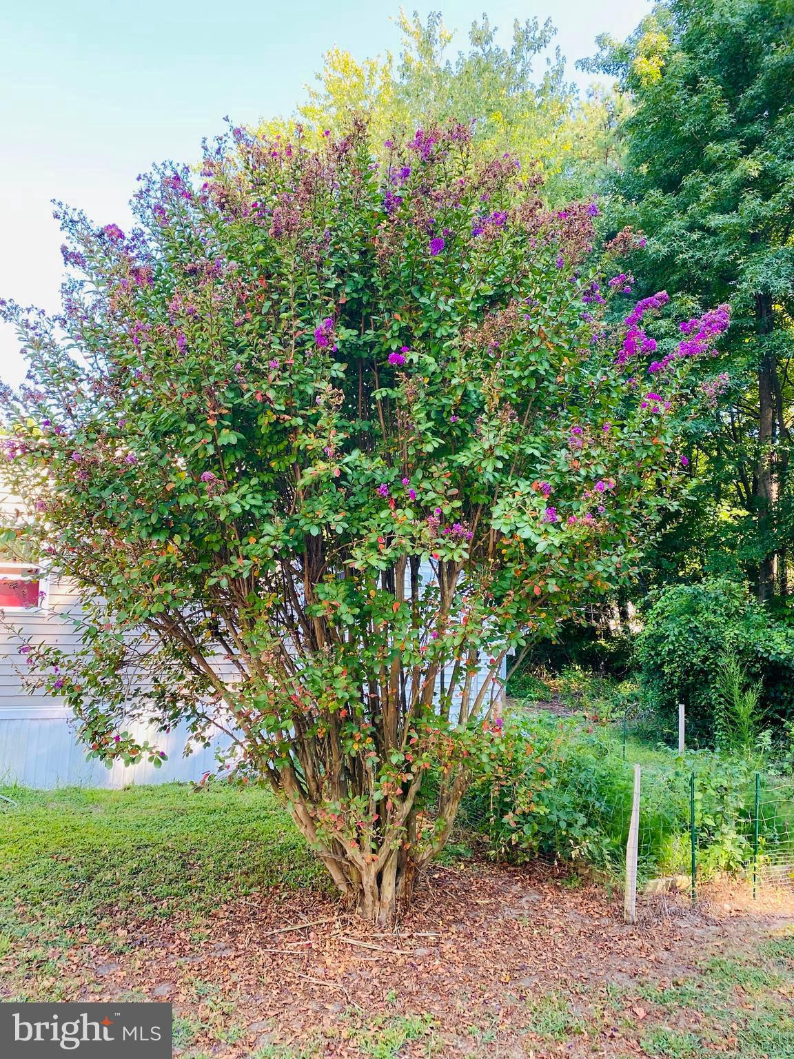 SOUTHGATE VILLAGE - Residential