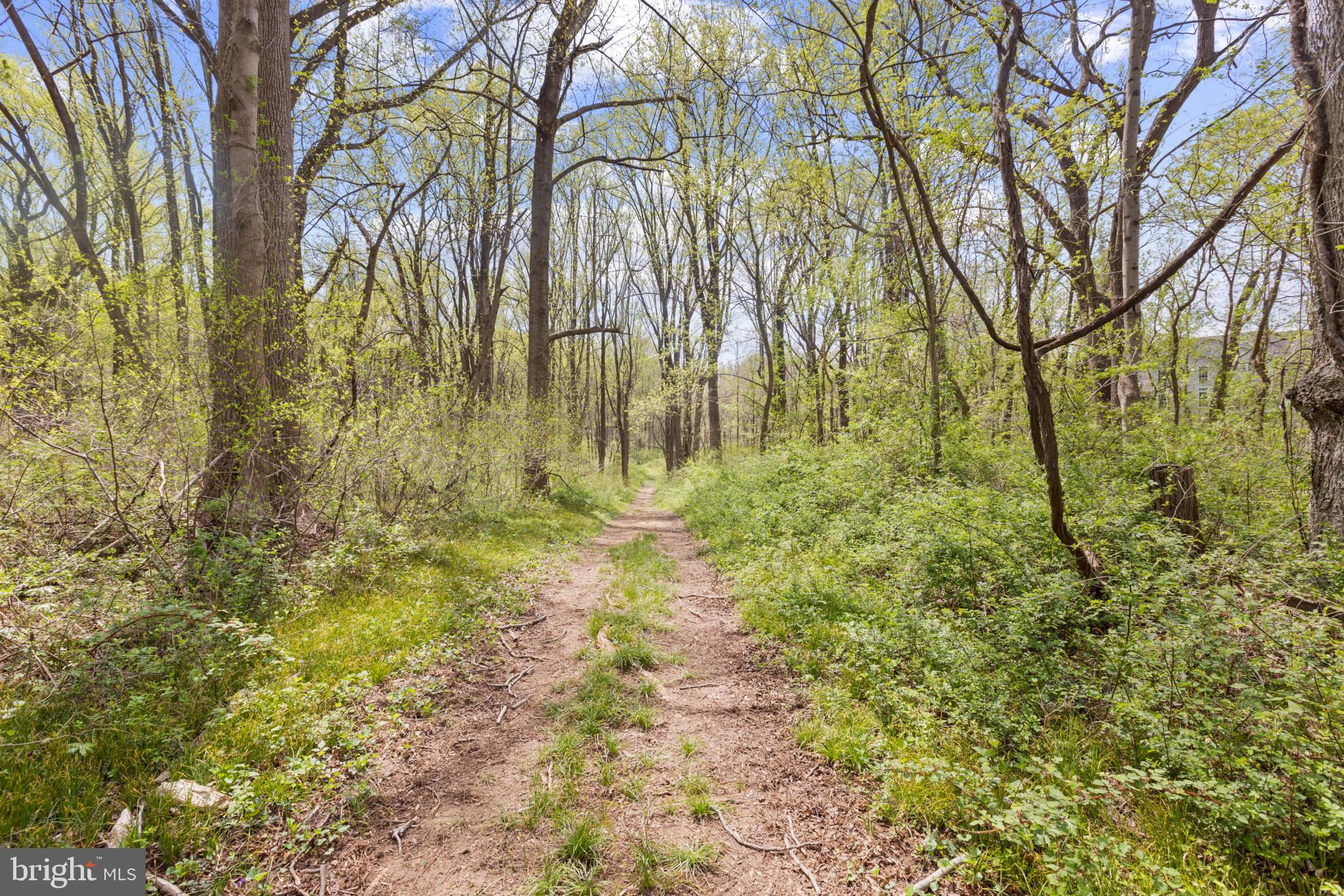 DENIT ESTATES - Residential