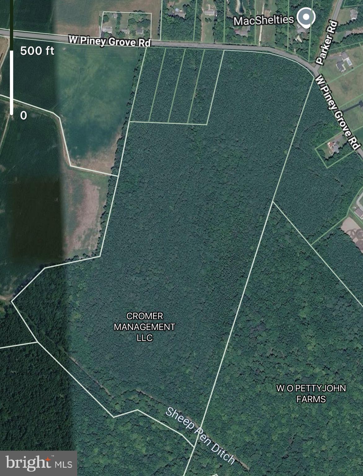 51 Acres W PINEY GROVE ROAD DE