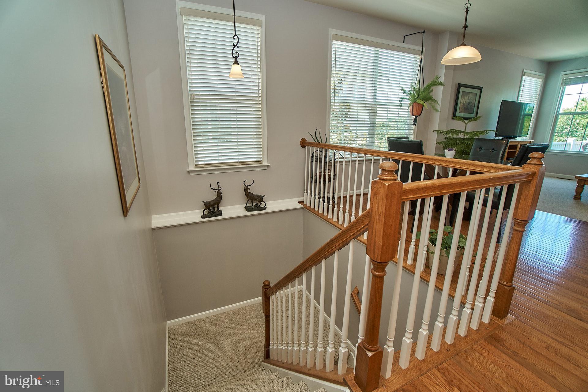 DUNBARTON AT BRAEMAR - Residential