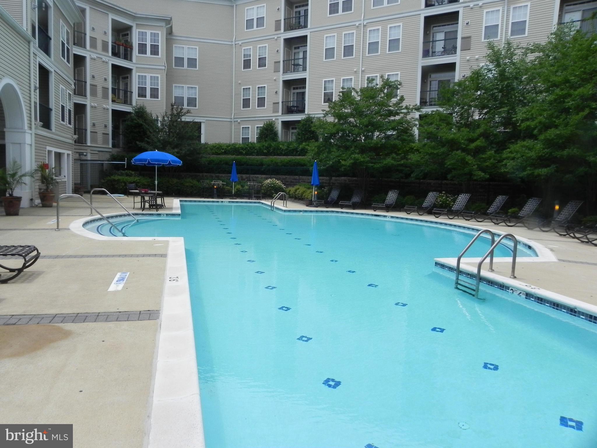 GROVE AT ARLINGTON - Residential Lease