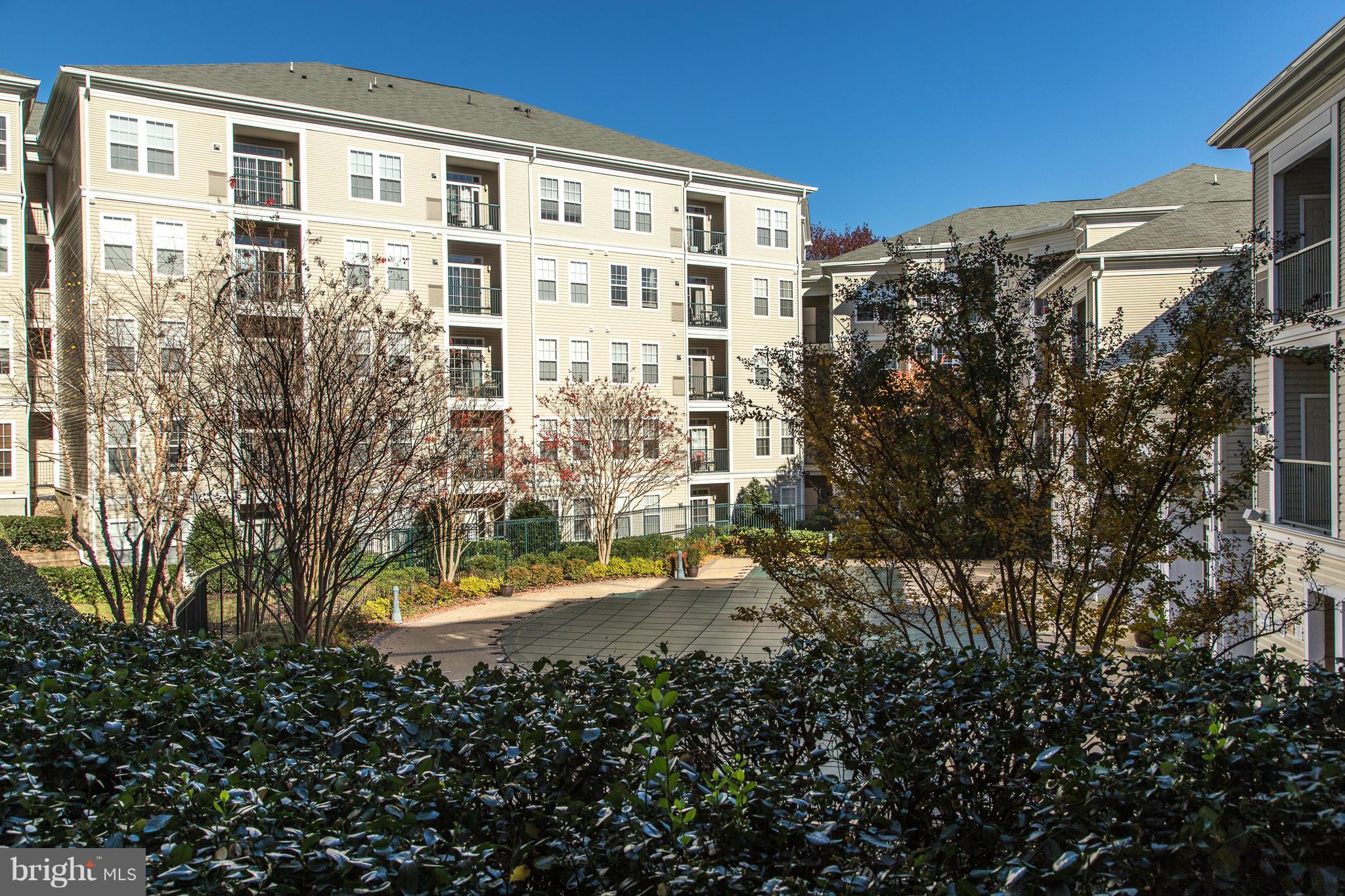 GROVE AT ARLINGTON - Residential Lease