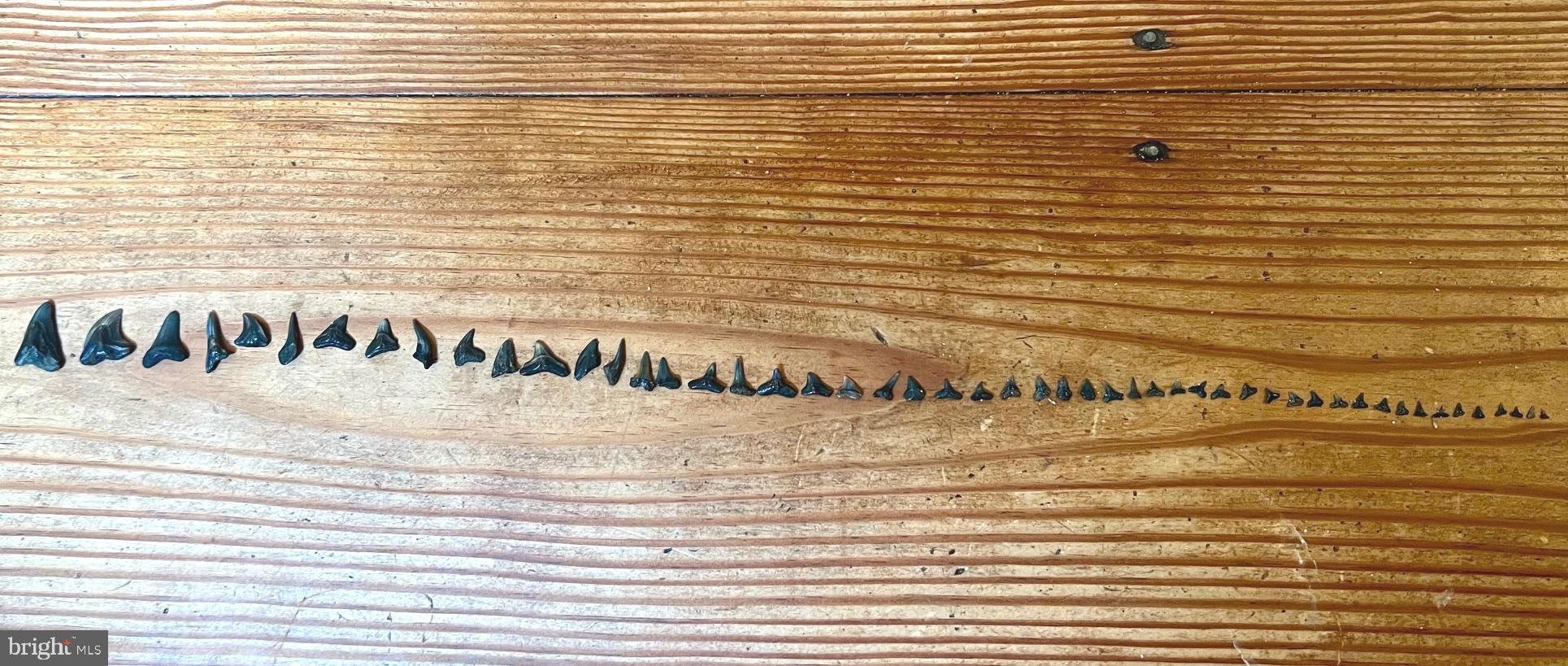 COVE POINT - Residential