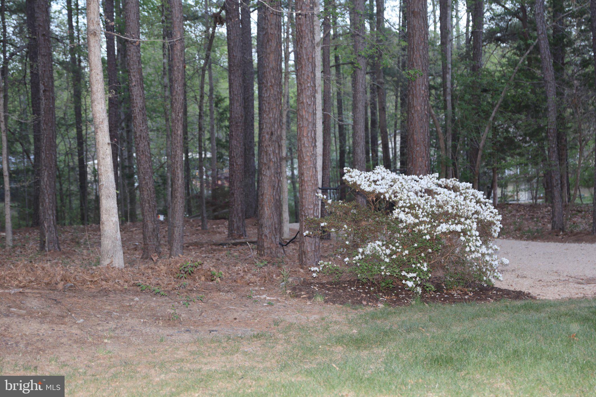 SCOTT MCCOY - Residential