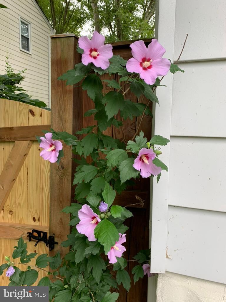 TIMOTHY PARK - Residential