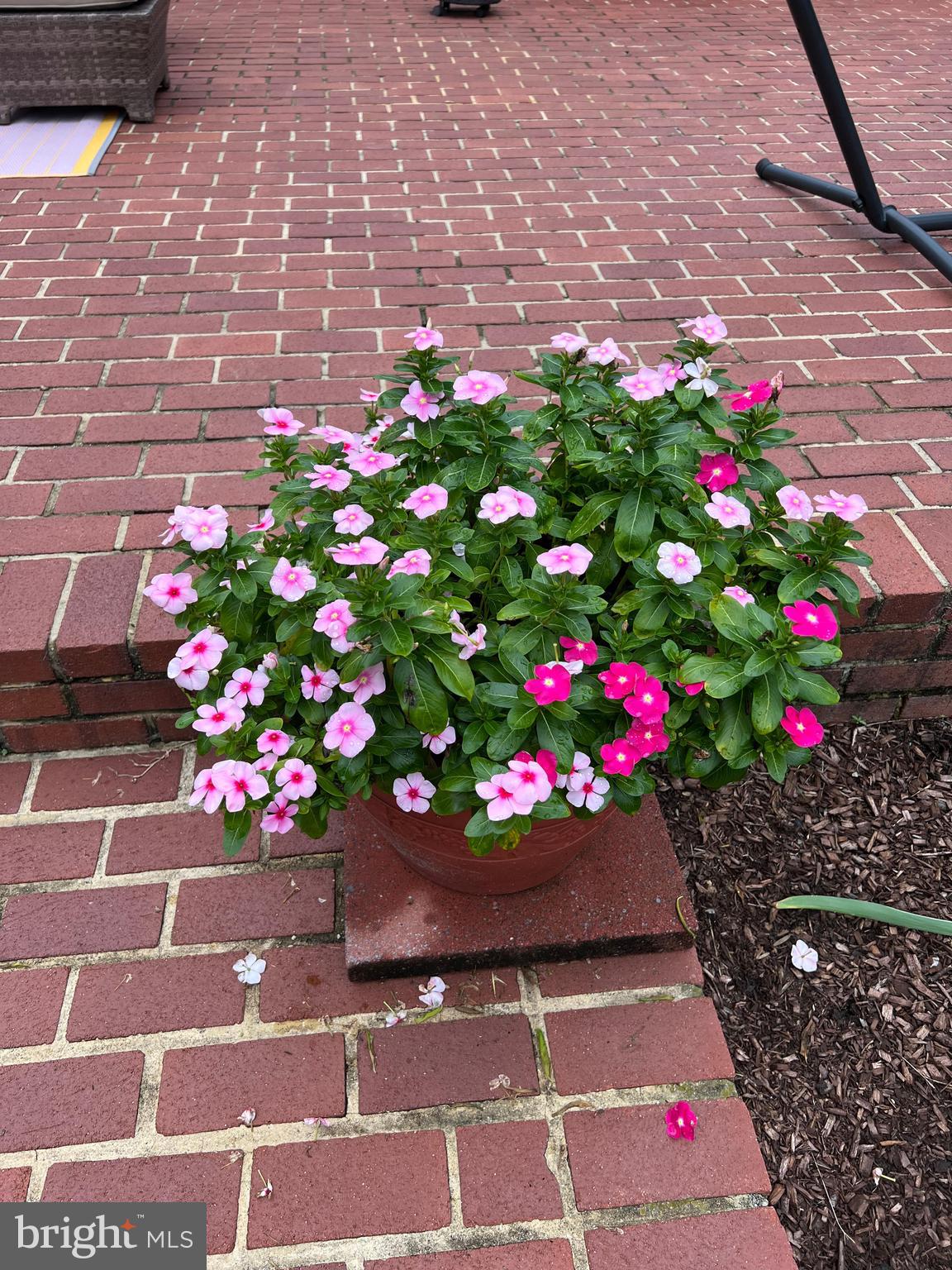 TIMOTHY PARK - Residential