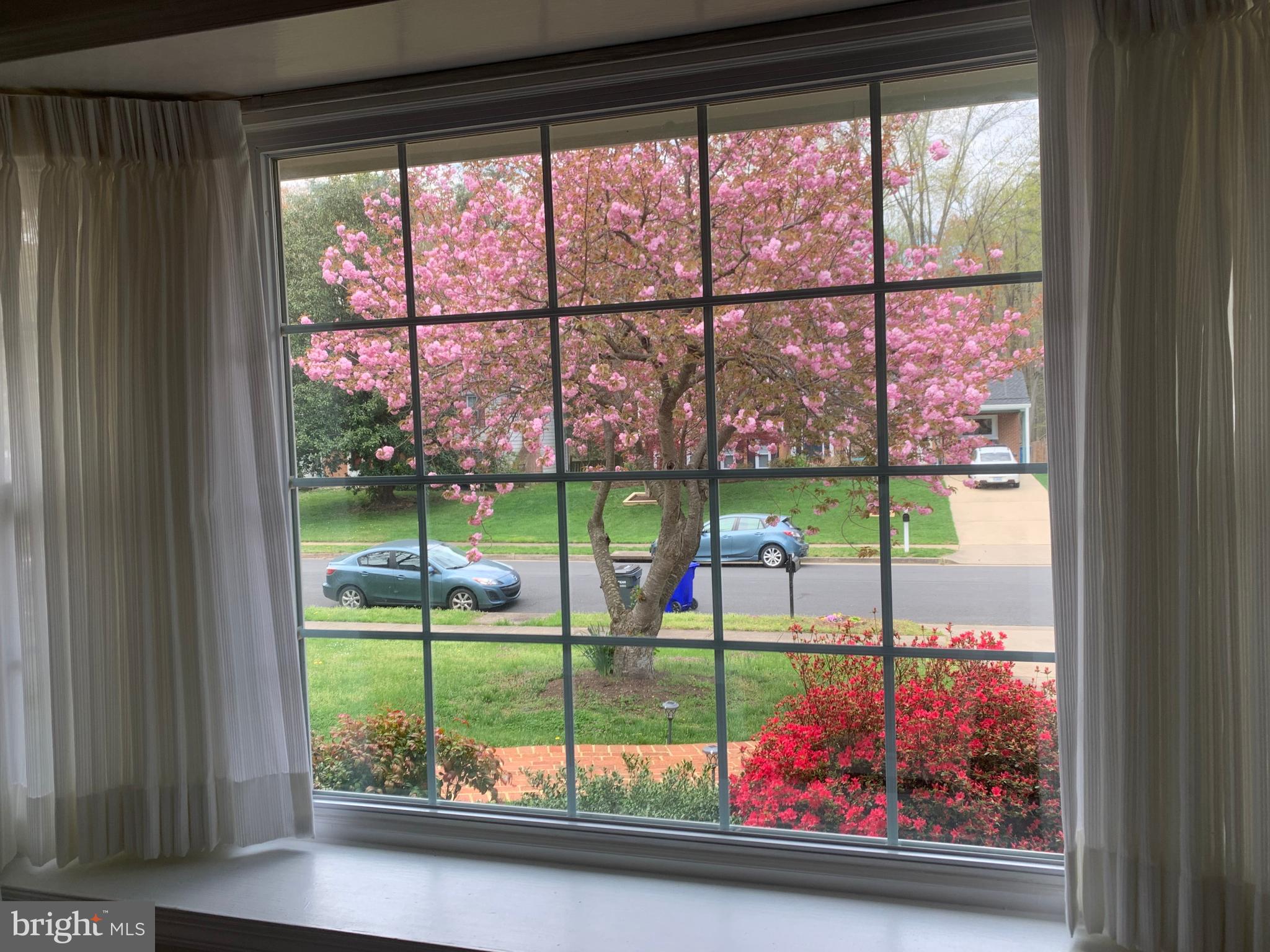 TIMOTHY PARK - Residential