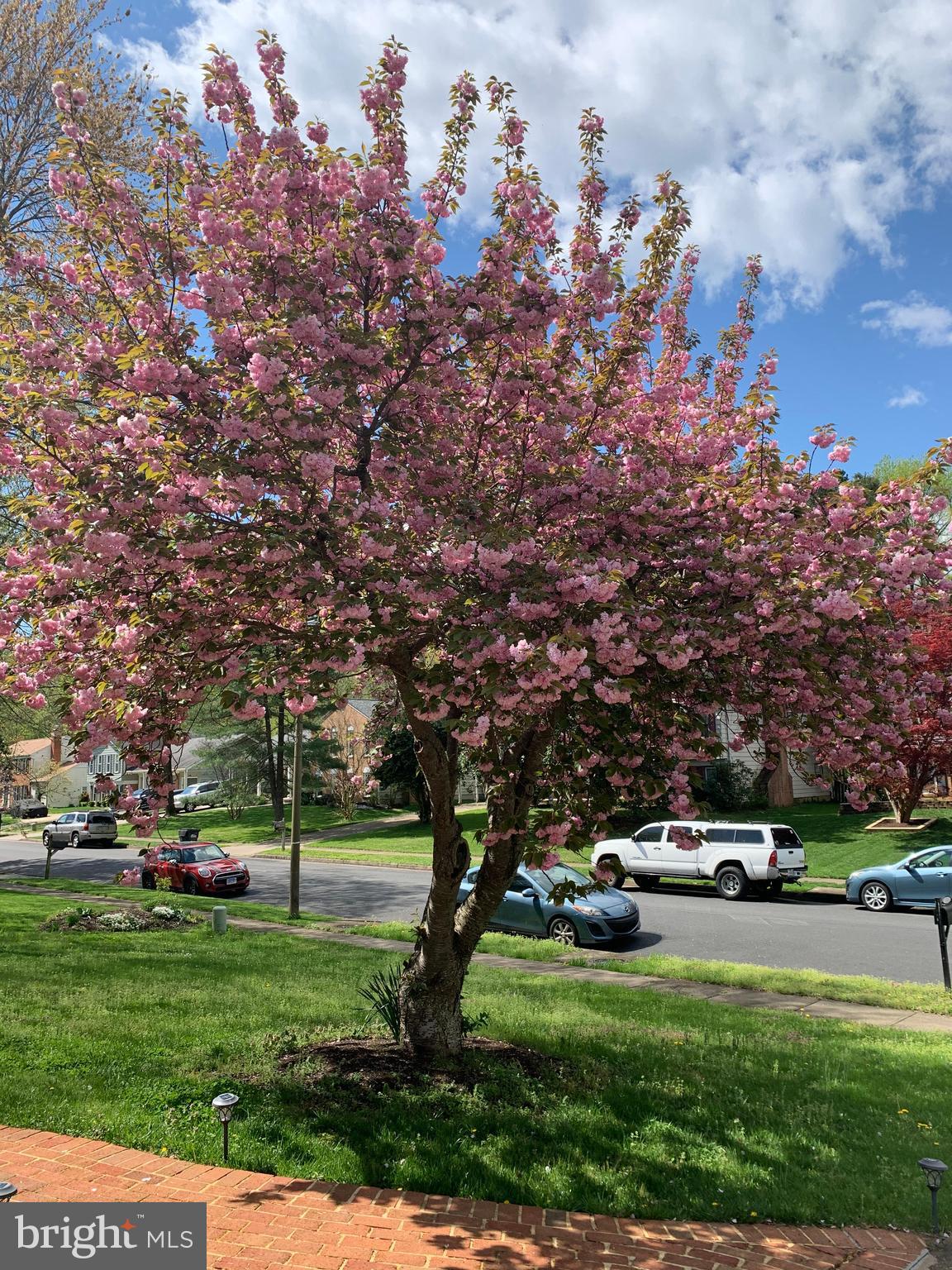 TIMOTHY PARK - Residential