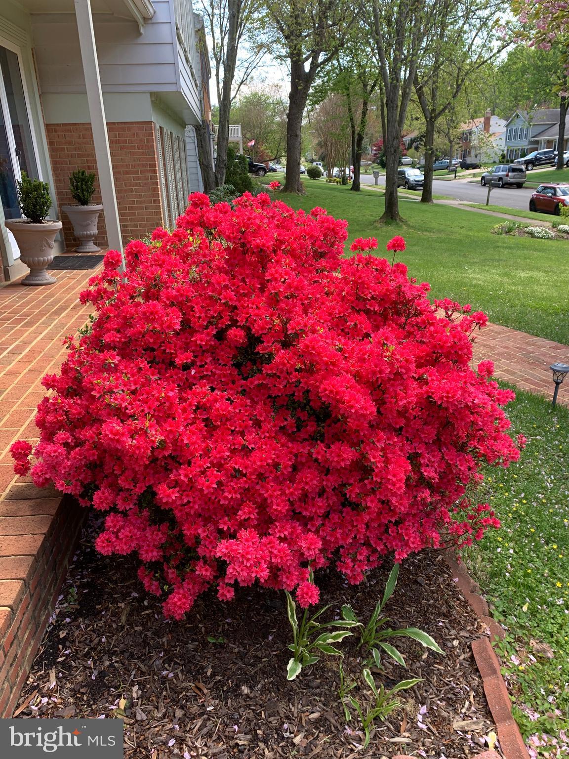 TIMOTHY PARK - Residential