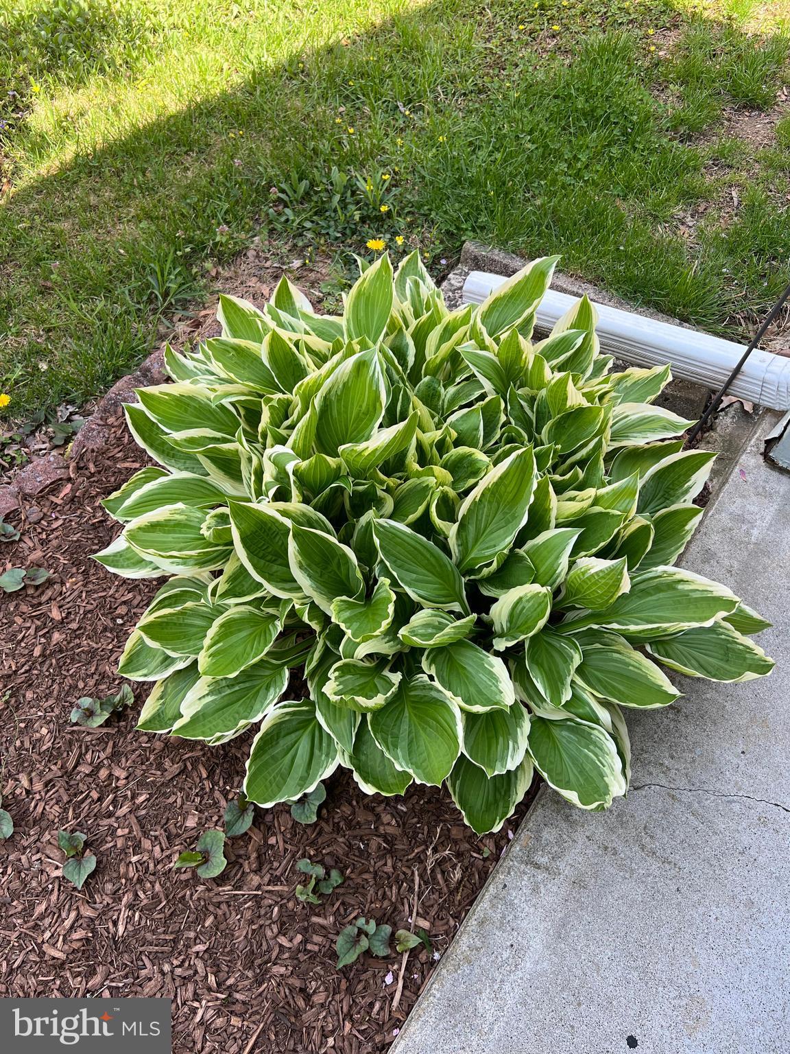 TIMOTHY PARK - Residential