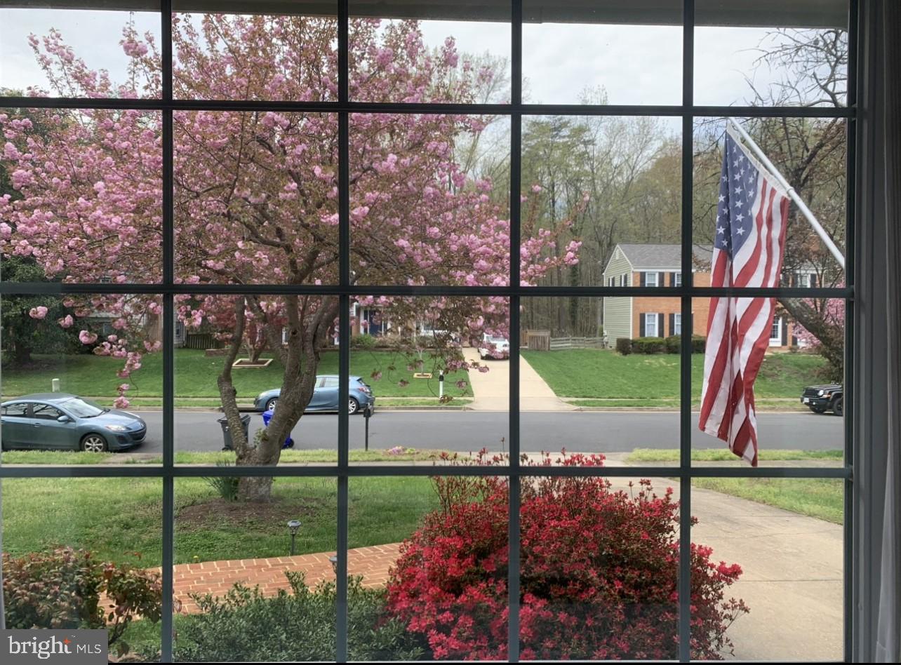 TIMOTHY PARK - Residential