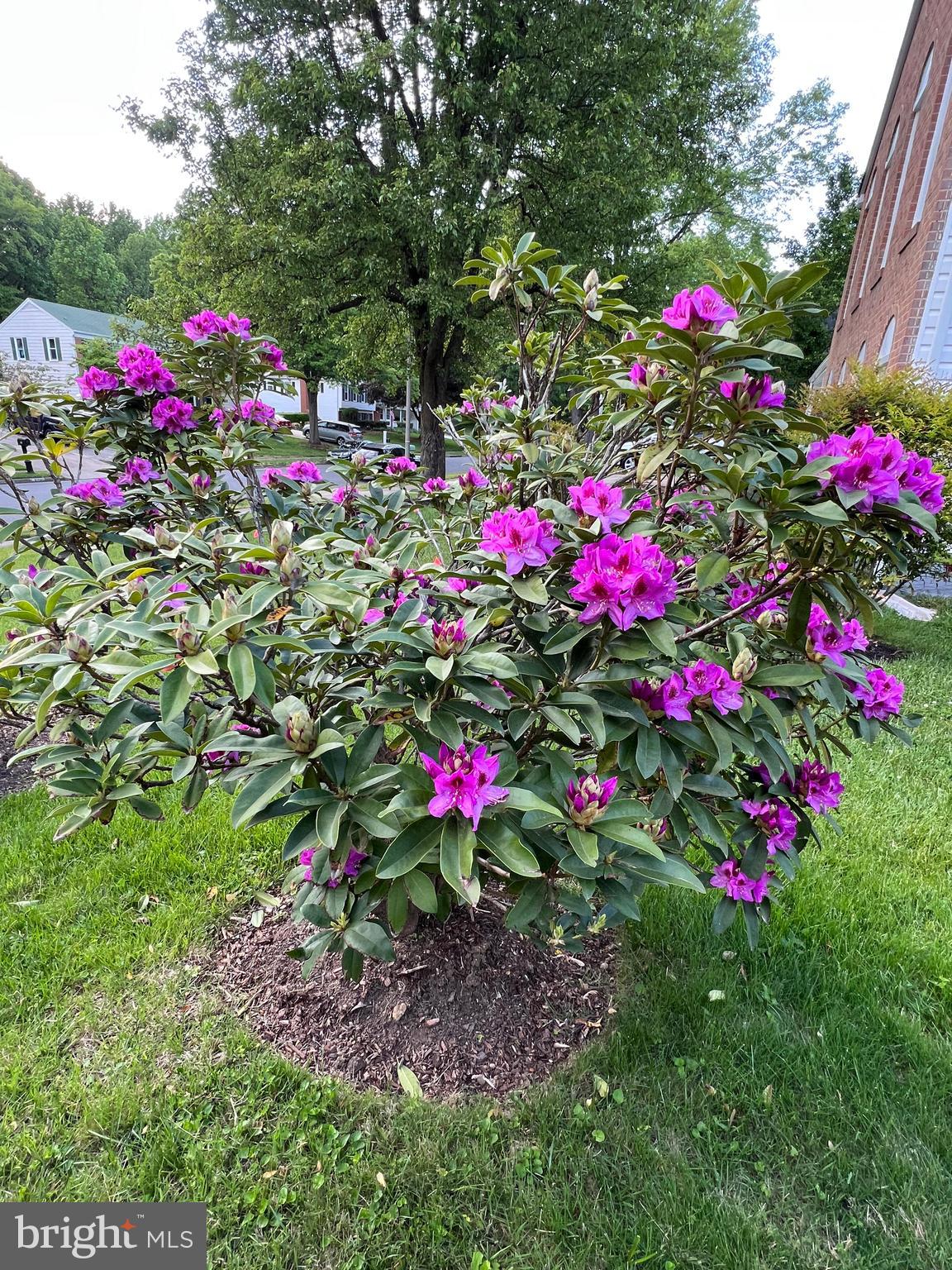 TIMOTHY PARK - Residential