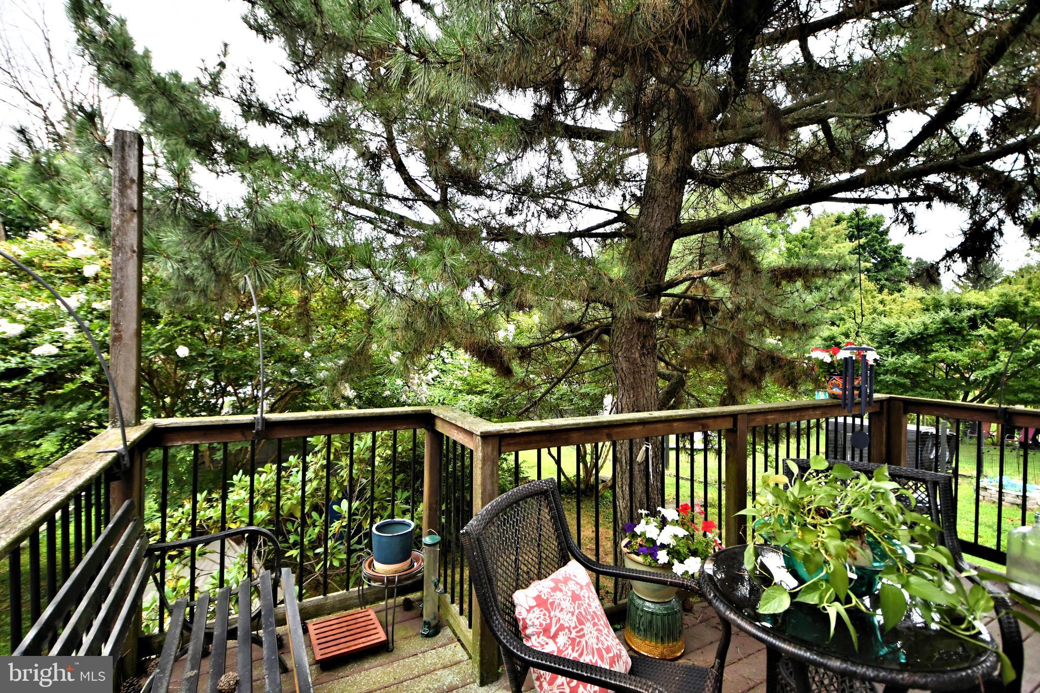 LAMOTT - Residential