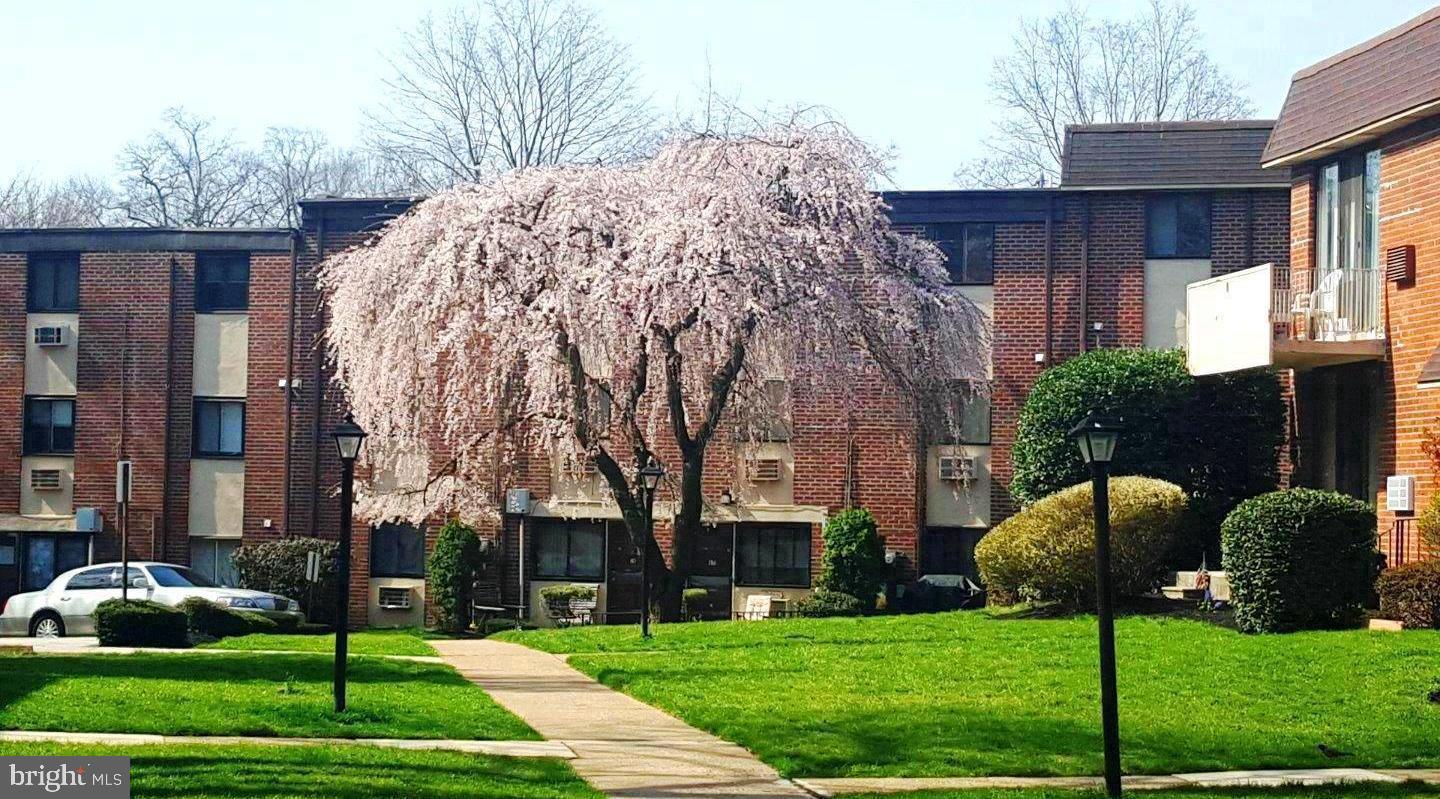 CONTEMPORARY VLG - Residential Lease