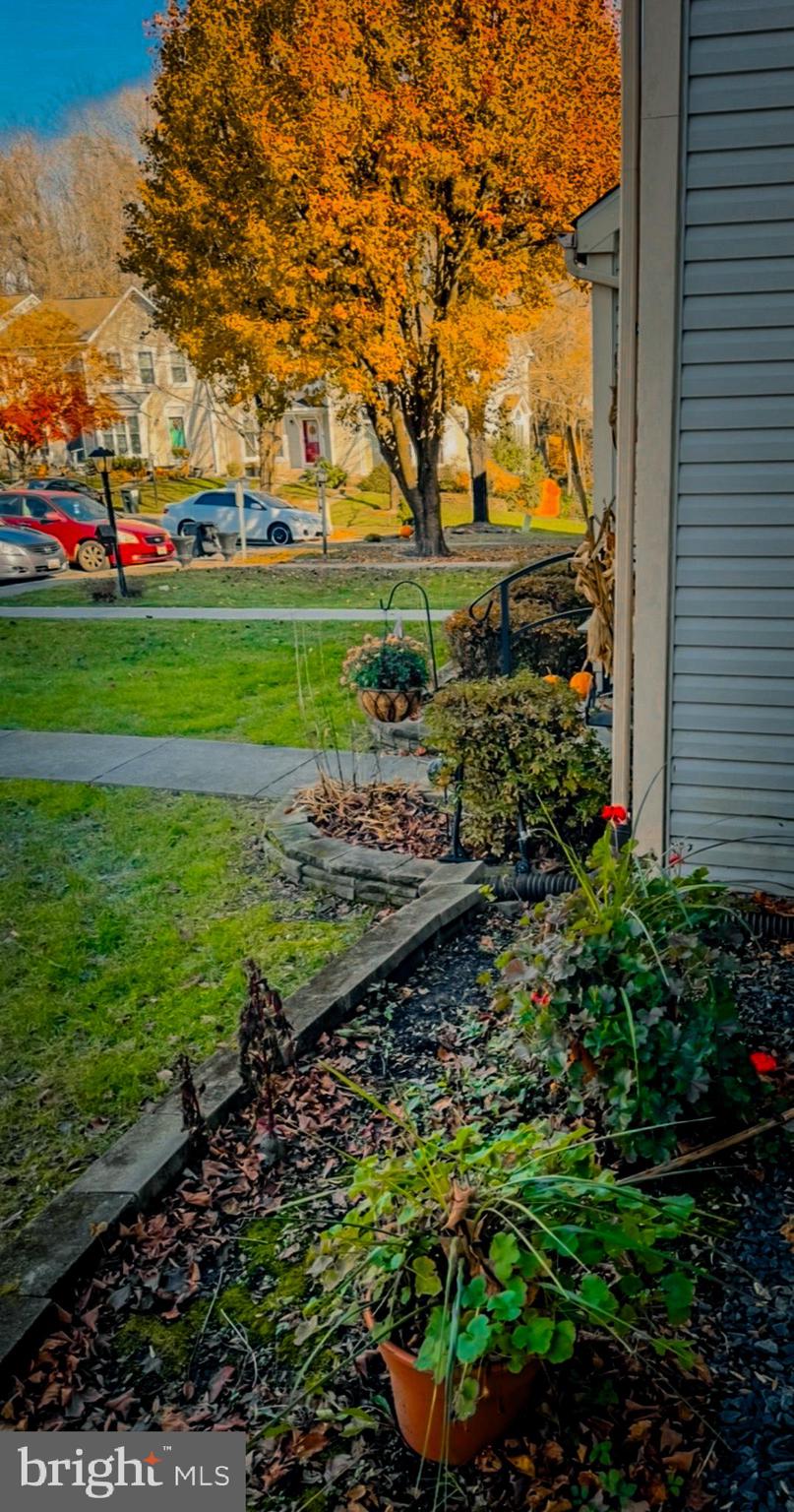 WHITE OAK - Residential