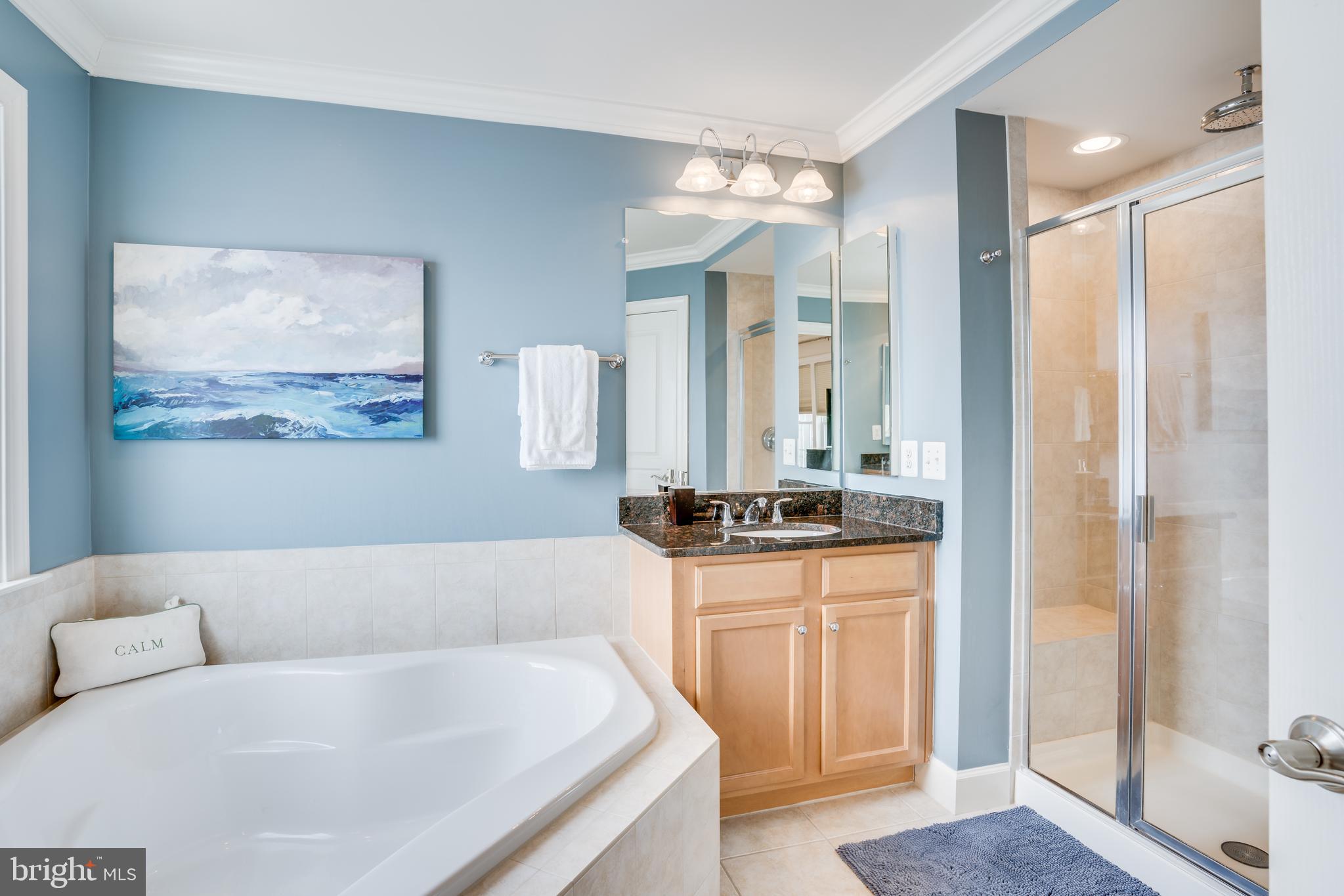 GREENE MILL PRESERVE - Residential