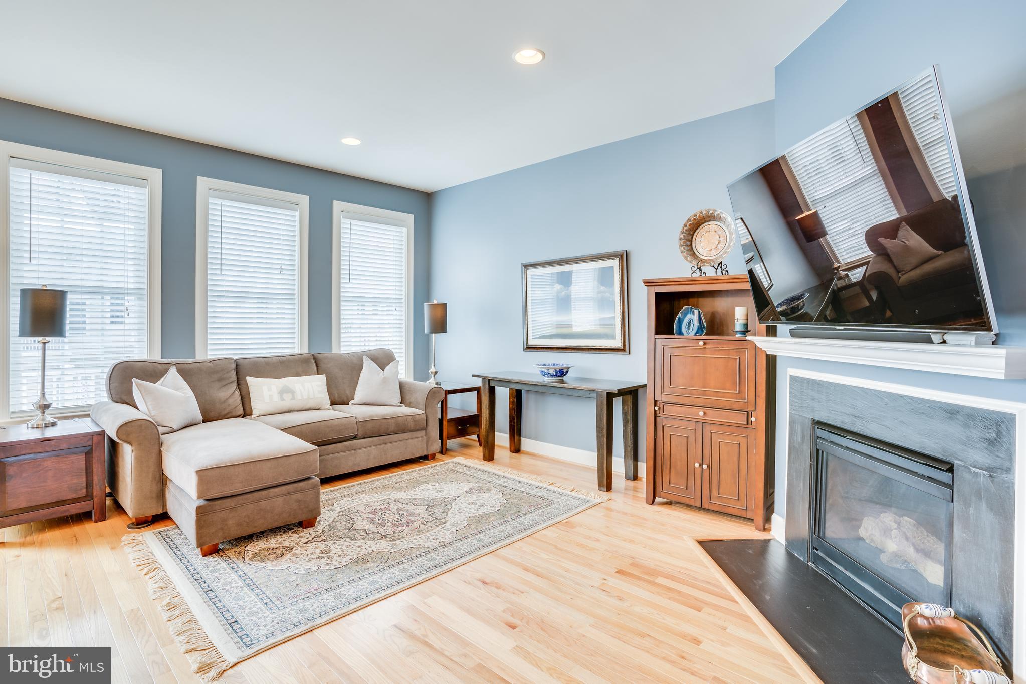 GREENE MILL PRESERVE - Residential