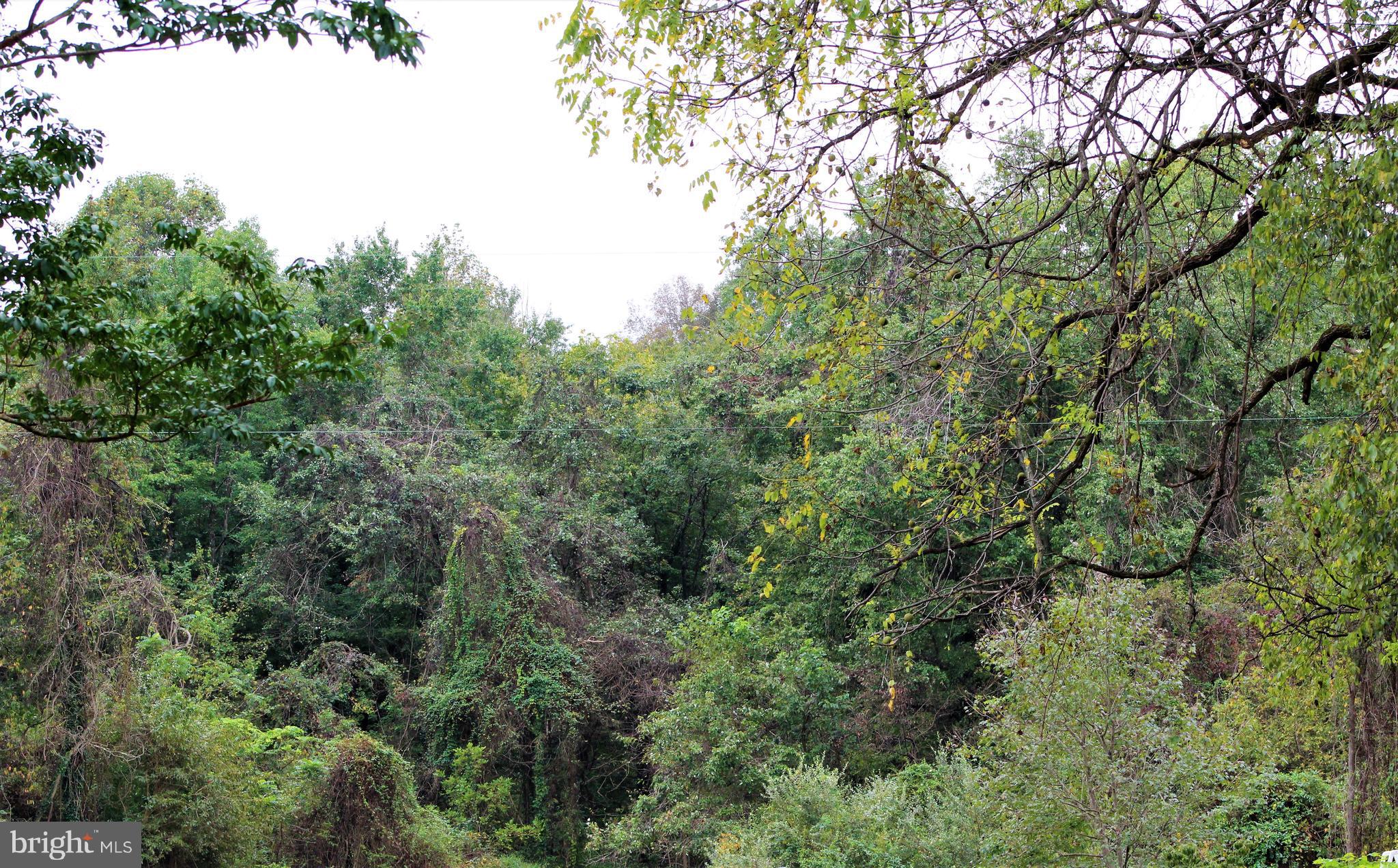 NONE AVAILABLE - Land