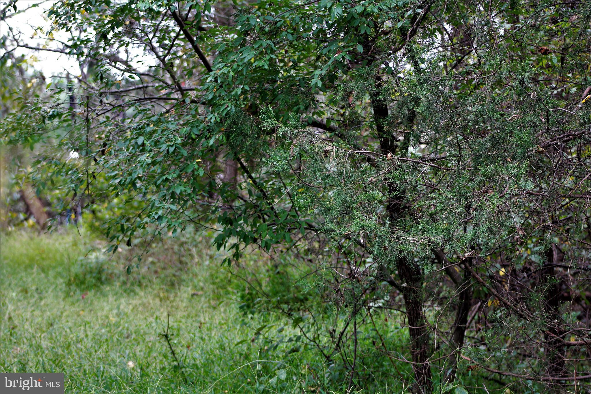 NONE AVAILABLE - Land