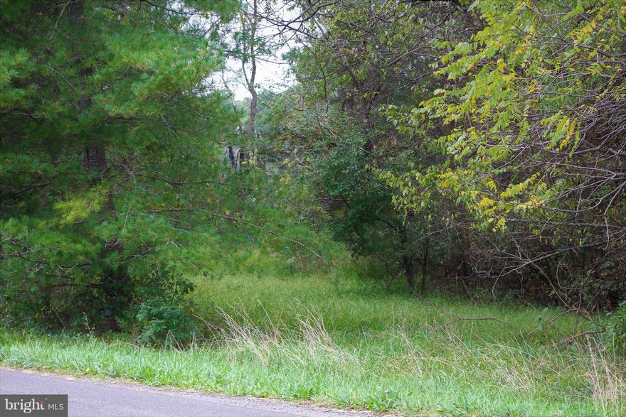 Very Useable 9 Ac. In Desirable Area W/ Possible 3 Lot Division As Per County W/ VDOT Approval. Mostly All Wooded W/Stream & Pond At Rear Of Property. One Old Barn Could Be Restored For Horses, Goats, Cows, Chickens Etc. NO HOA or Covenants. Old Burnt Down House Had Septic & Shared Well. Come Build Your Dream Home Today & Bring The Horses or Possible Divide & build 3 Houses To Sell. Don't Miss Out