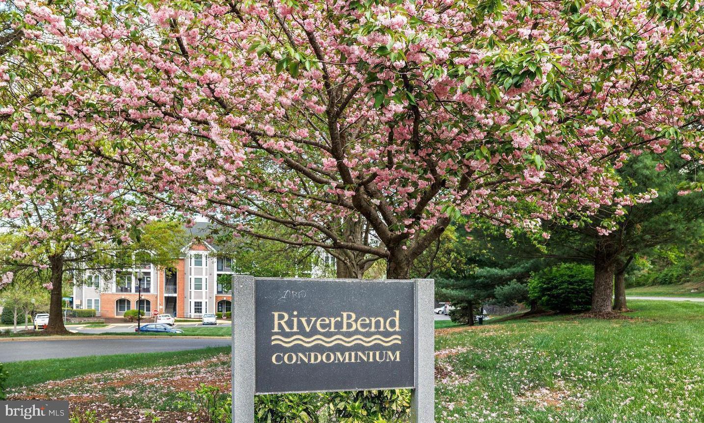 RIVERBEND AT CASCADES - Residential Lease