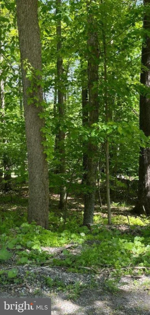 MLS: MDGA2012976