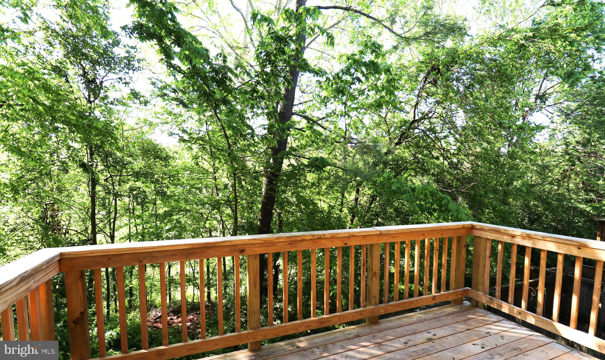 WINDING BROOK - Residential