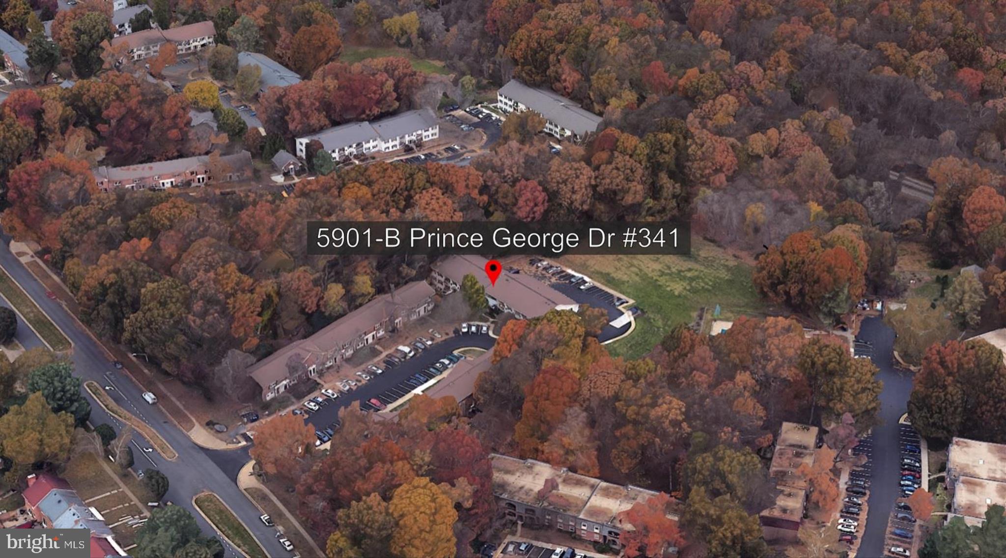 CARDINAL FOREST - Residential