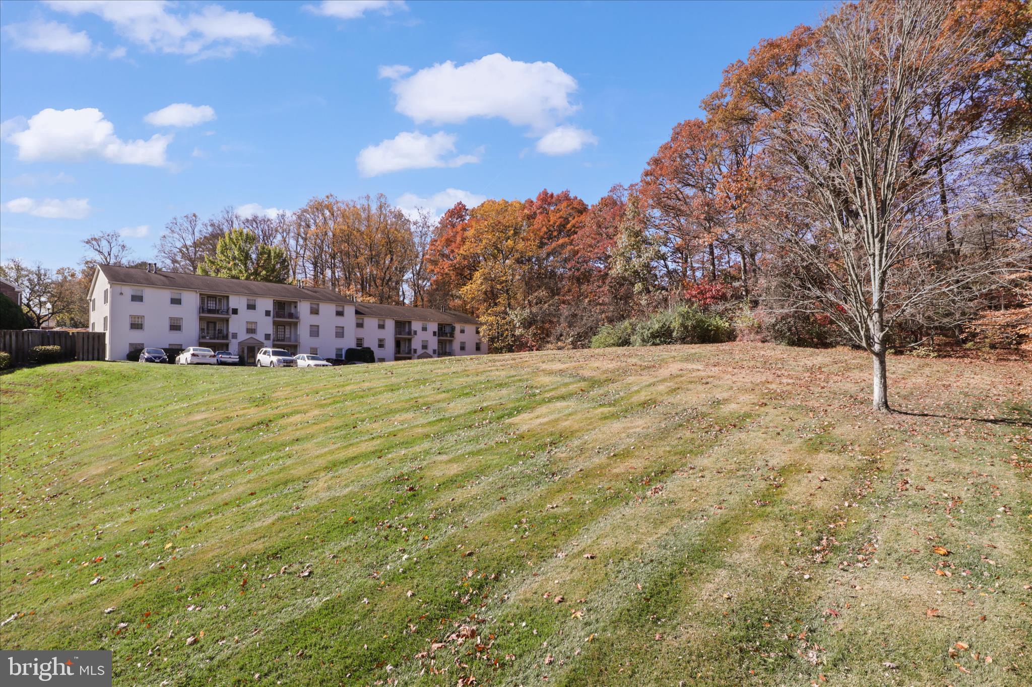 CARDINAL FOREST - Residential