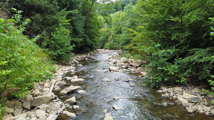 21 Ac Waterfront Lot Abrams Creek Retreats NR Elk Garden, WV – Large Timber, Long Co Rd Front, Sev ATV Trails, Elect on Site & EZ Access.  Ideal for Cabin or Rec Pavilion.   Swim, Hunt, Boat, Beach……All within Reach!