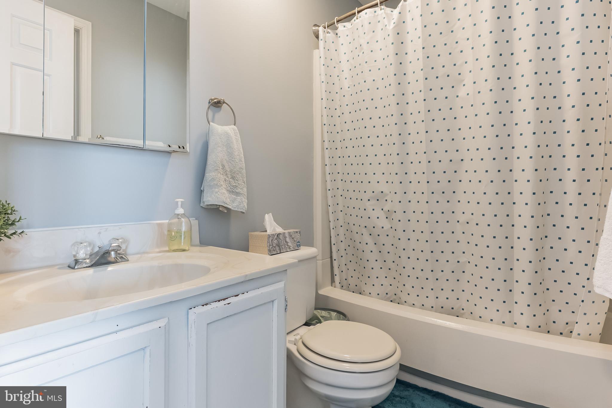 ACTON VILLAGE - Residential