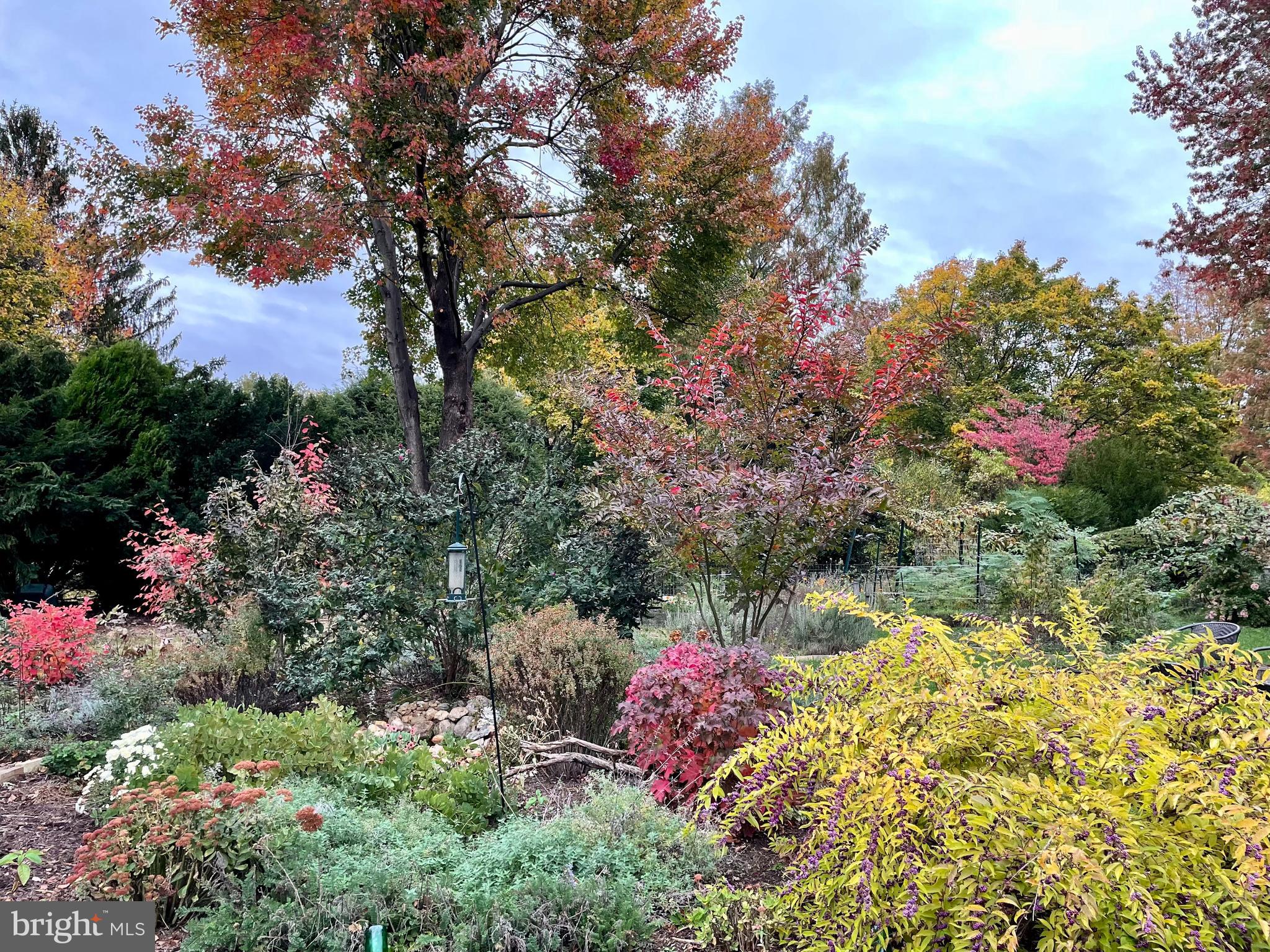 CLOVER HILL - Residential