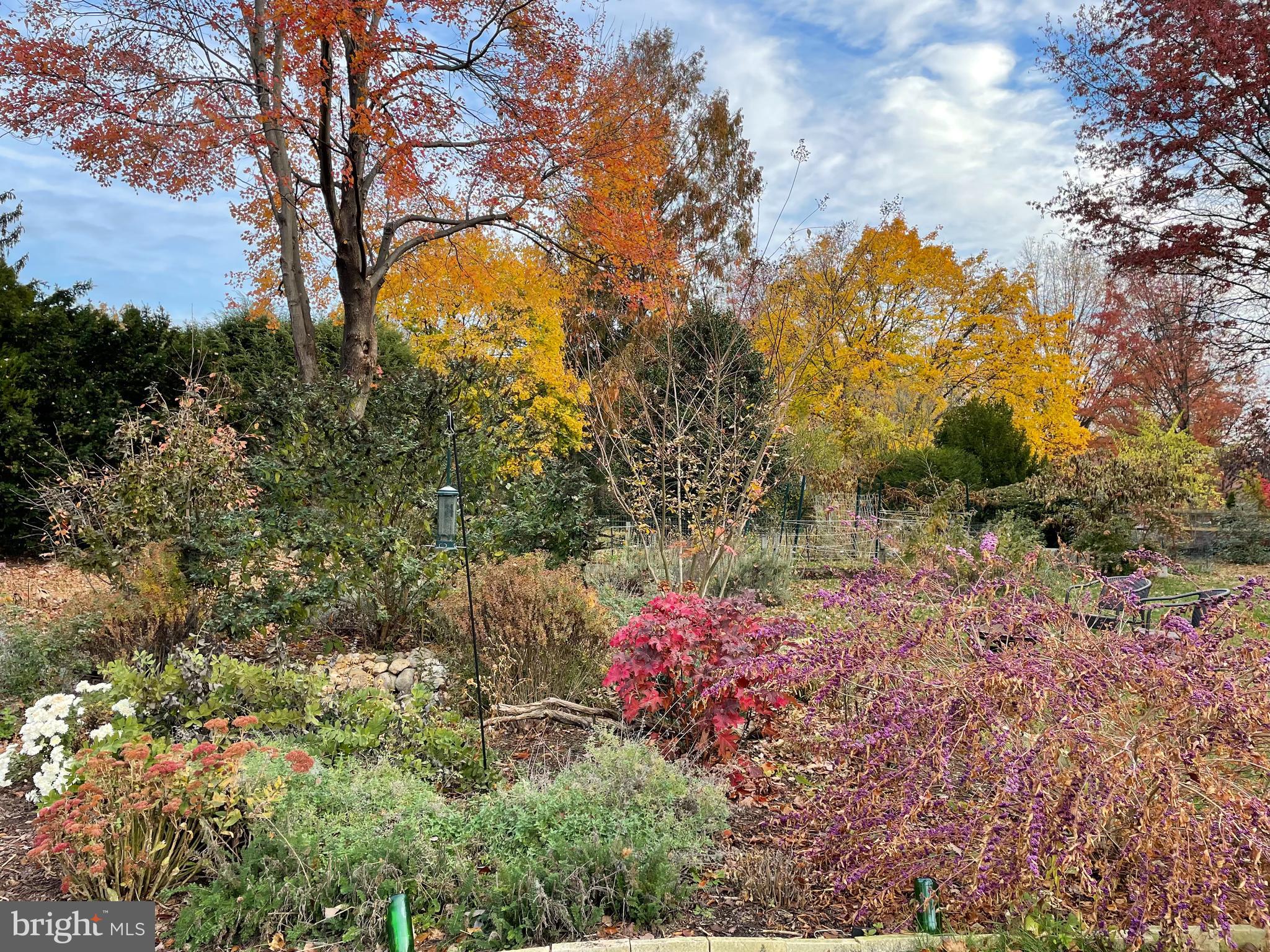 CLOVER HILL - Residential