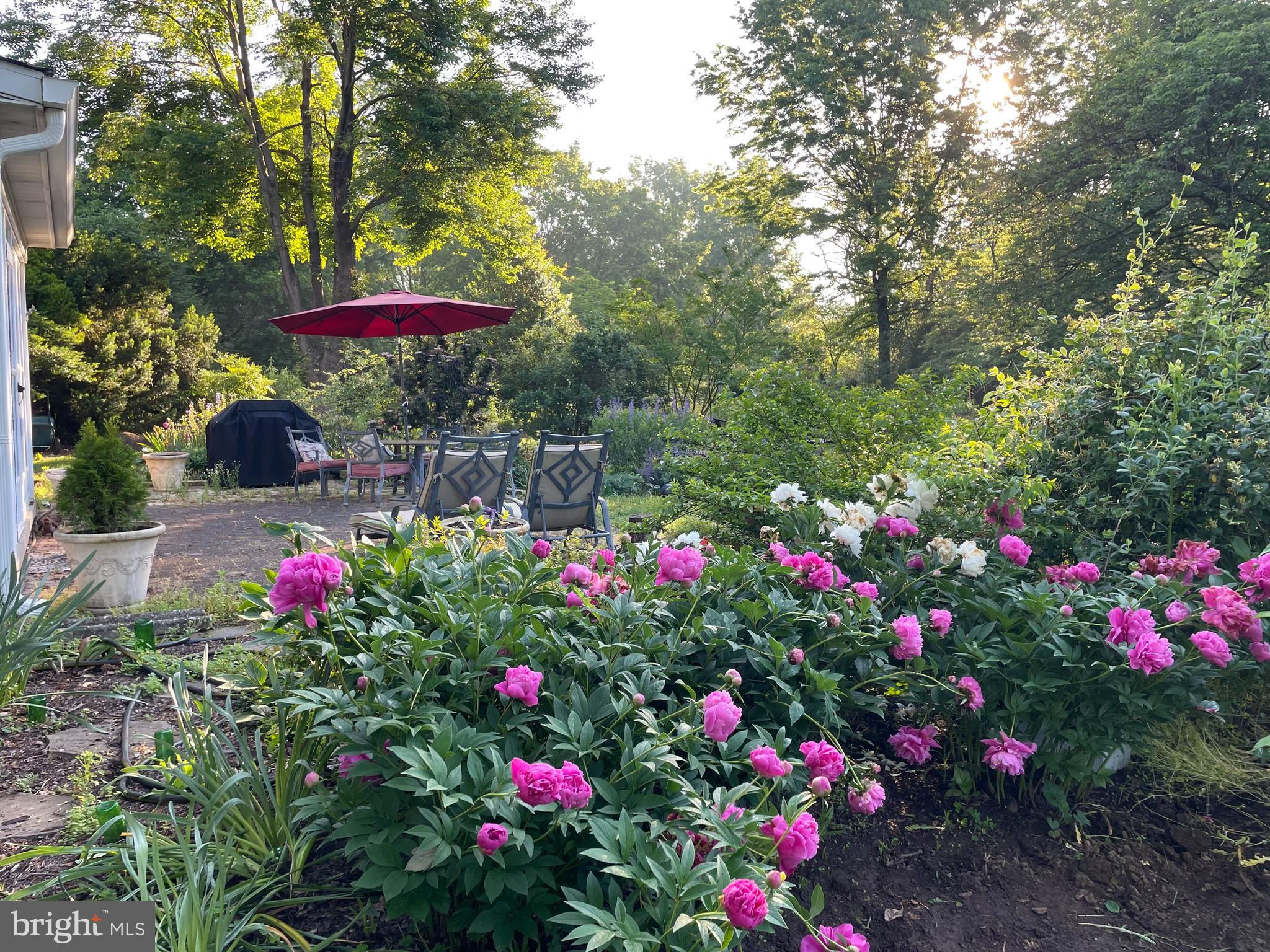 CLOVER HILL - Residential